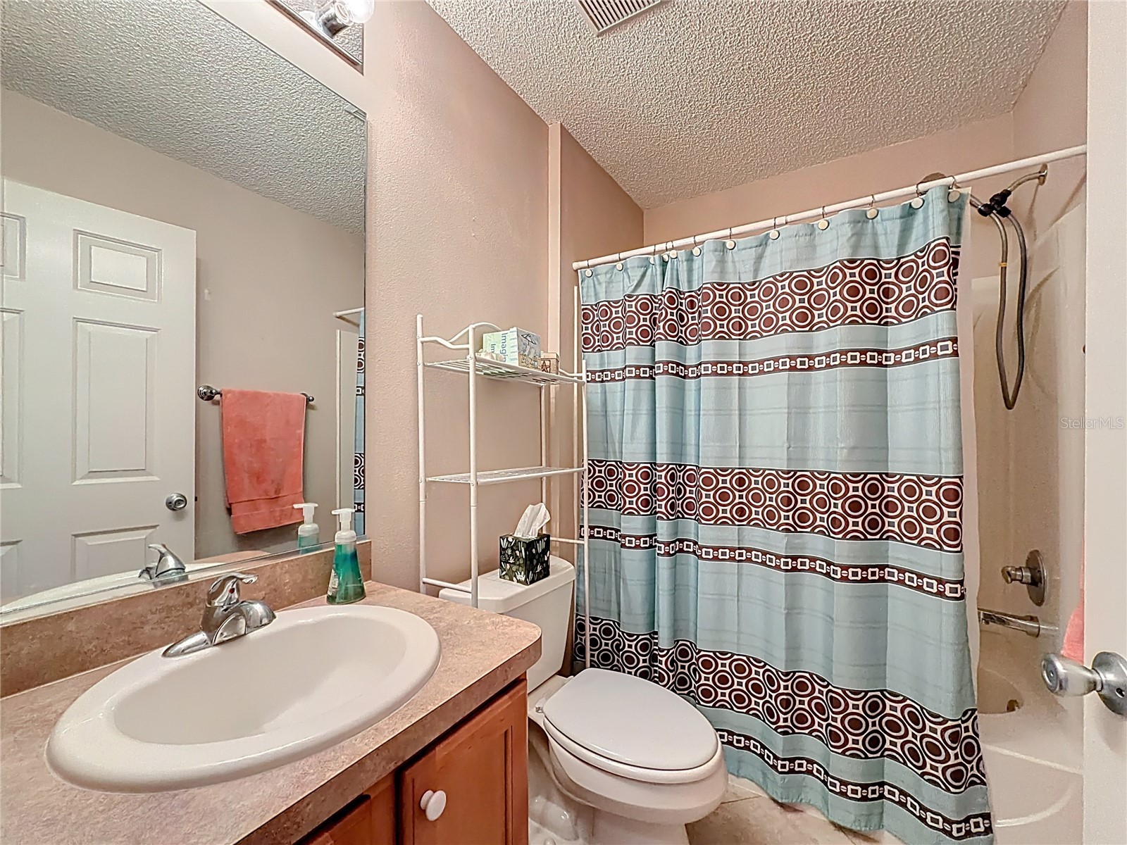 1399 Holly Hill Avenue The Villages FL 32162 G5105712 image32