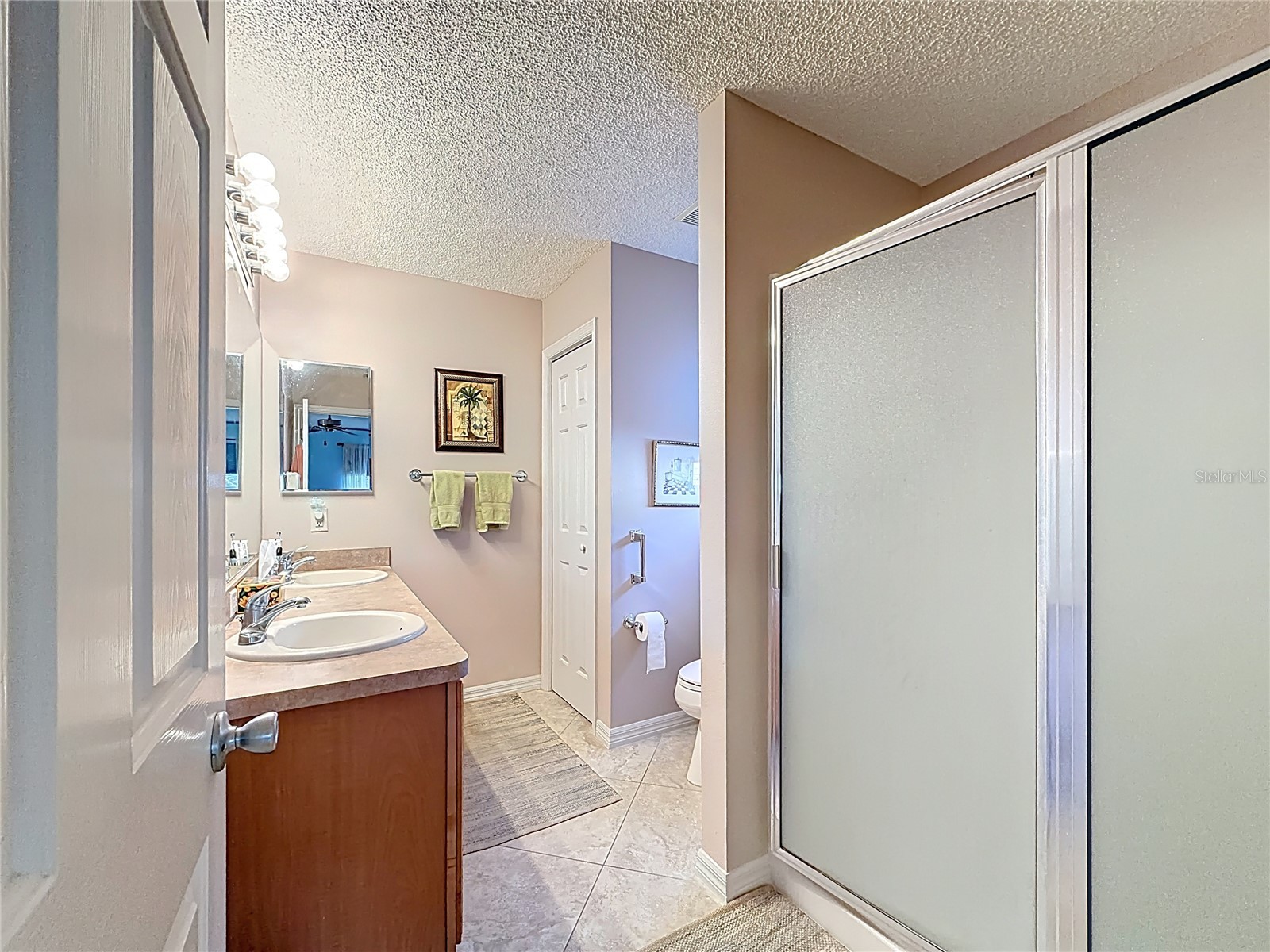 1399 Holly Hill Avenue The Villages FL 32162 G5105712 image39