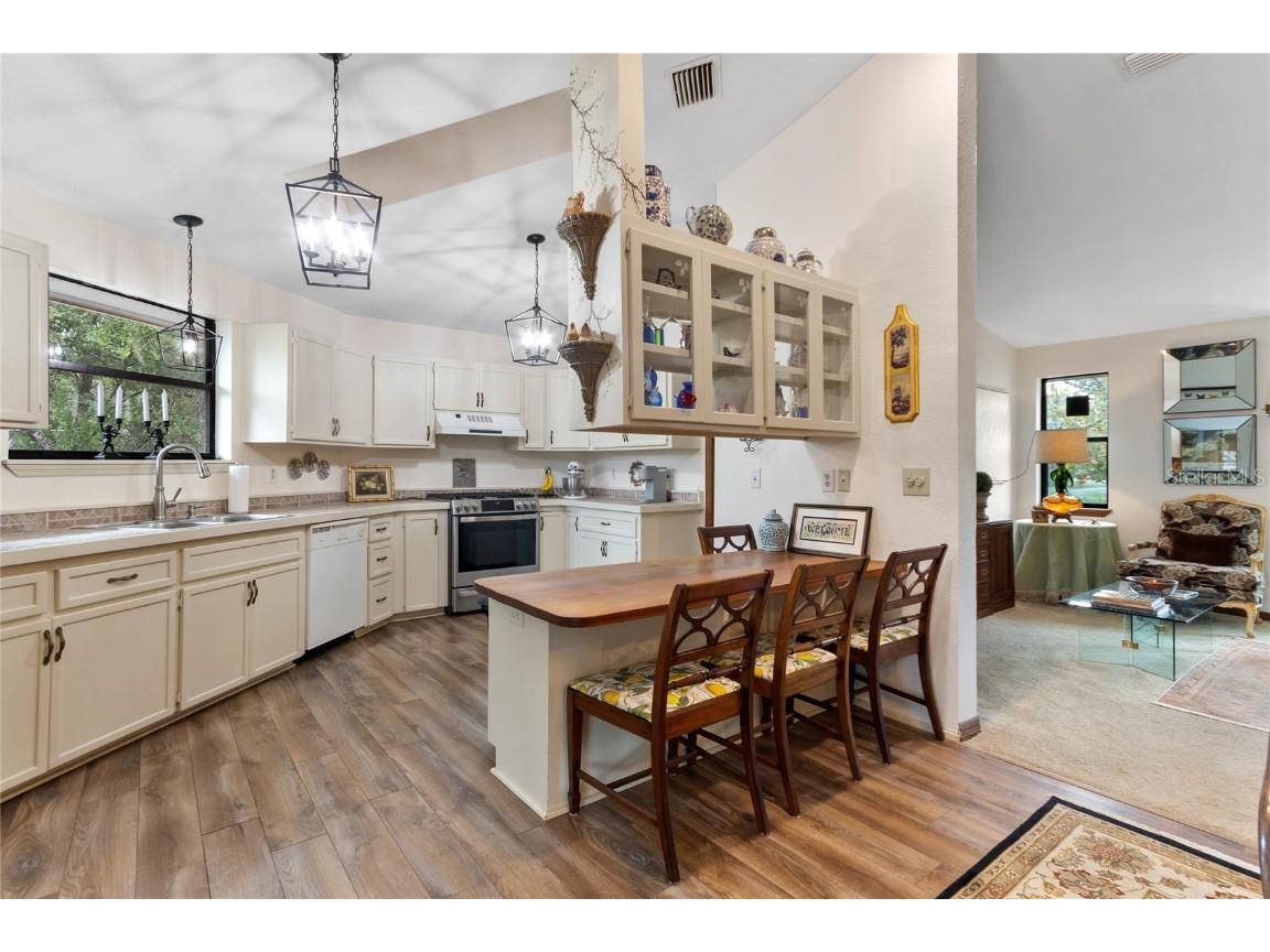 1399 Old Mount Dora Road Eustis FL 32726 O6268368 image21