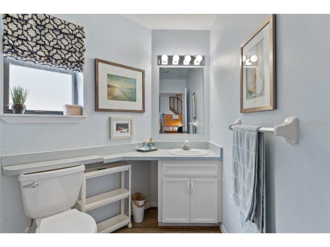 1399 Old Mount Dora Road Eustis FL 32726 O6268368 image28