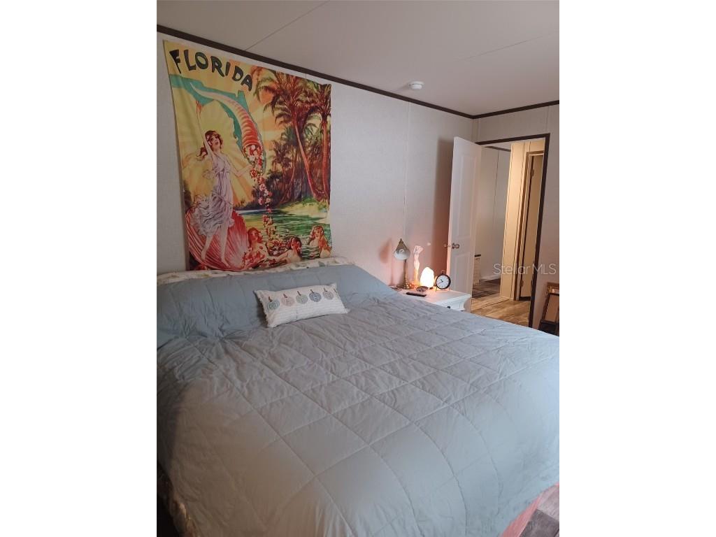 1399 SE 177th Avenue Silver Springs FL 34488 - LAKE VIRGINIA T3463256 image1