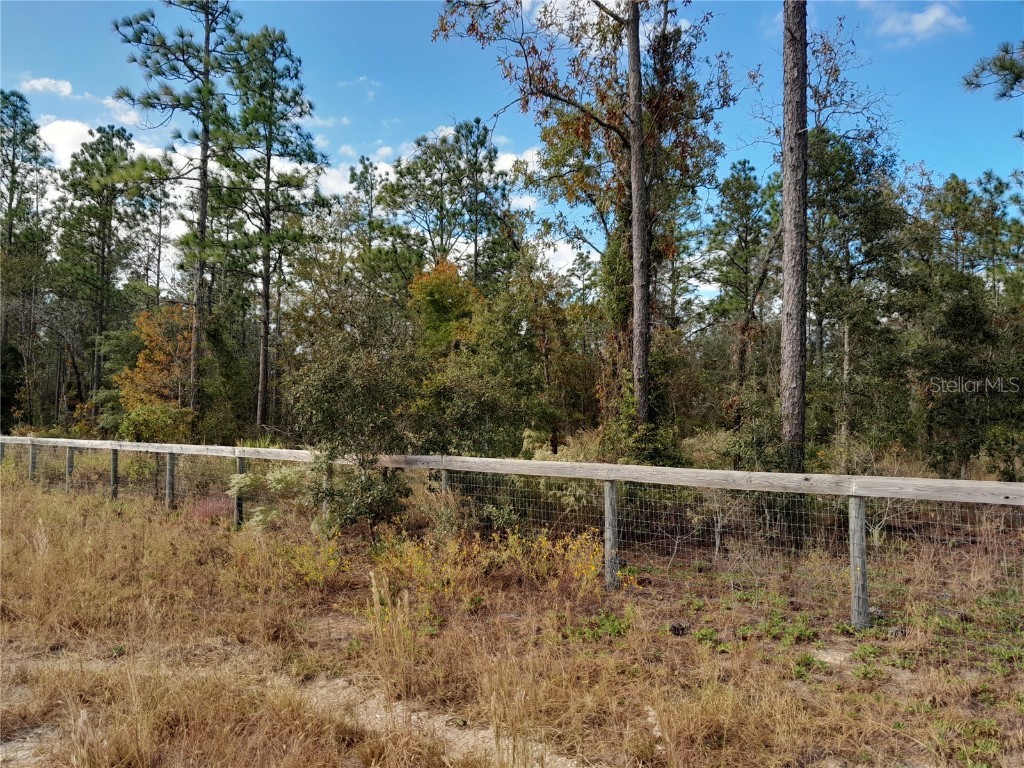 13991 NE 40th Street Williston FL 32696 OM667073 image1