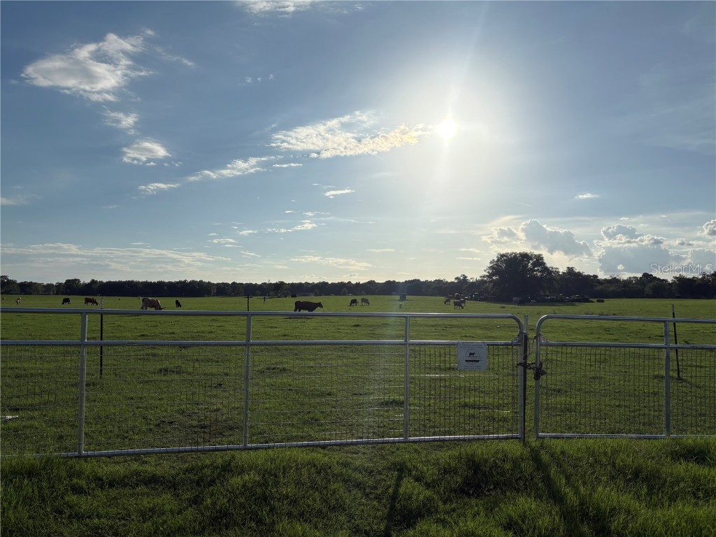 13994 County Road 209 Oxford FL 34484 O6319357 image2