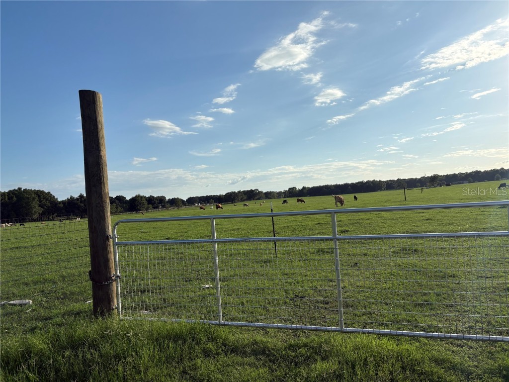 13994 County Road 209 Oxford FL 34484 O6319357 image3