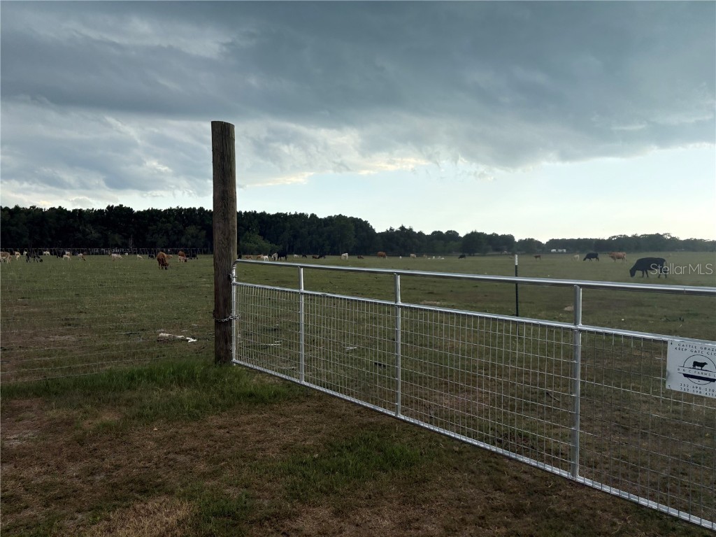 13994 County Road 209 Oxford FL 34484 O6319357 image5