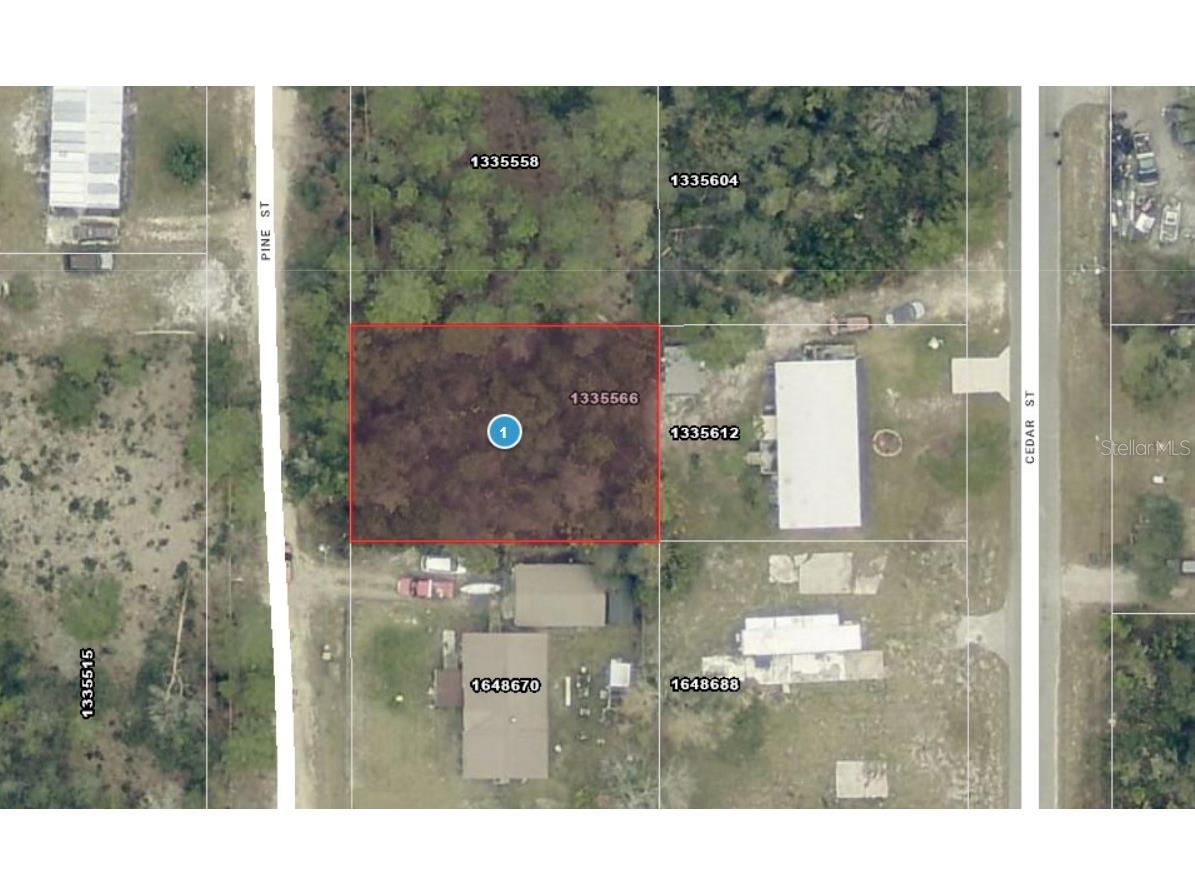 14-17-28-0200-009-01400 Pine Street Paisley FL 32767 A4692612 image1