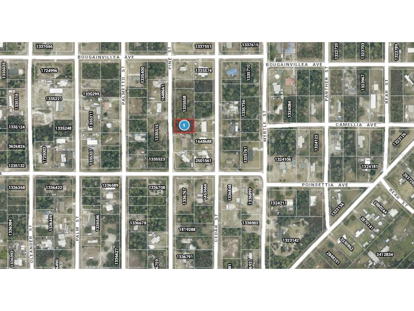 14-17-28-0200-009-01400 Pine Street Paisley FL 32767 A4692612 image2