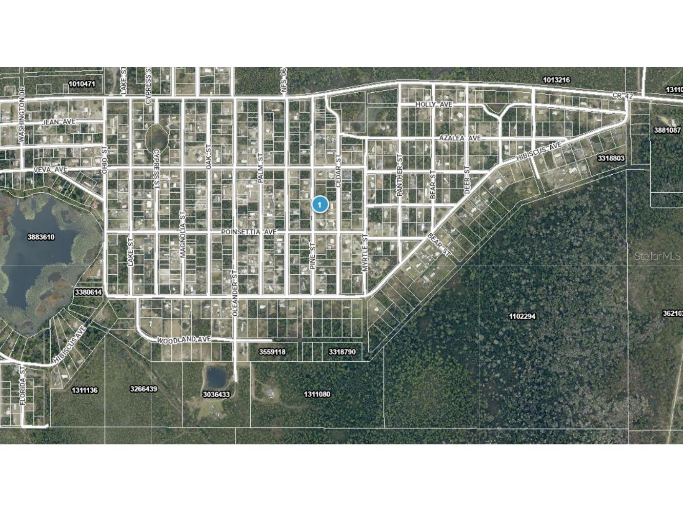 14-17-28-0200-009-01400 Pine Street Paisley FL 32767 A4692612 image3