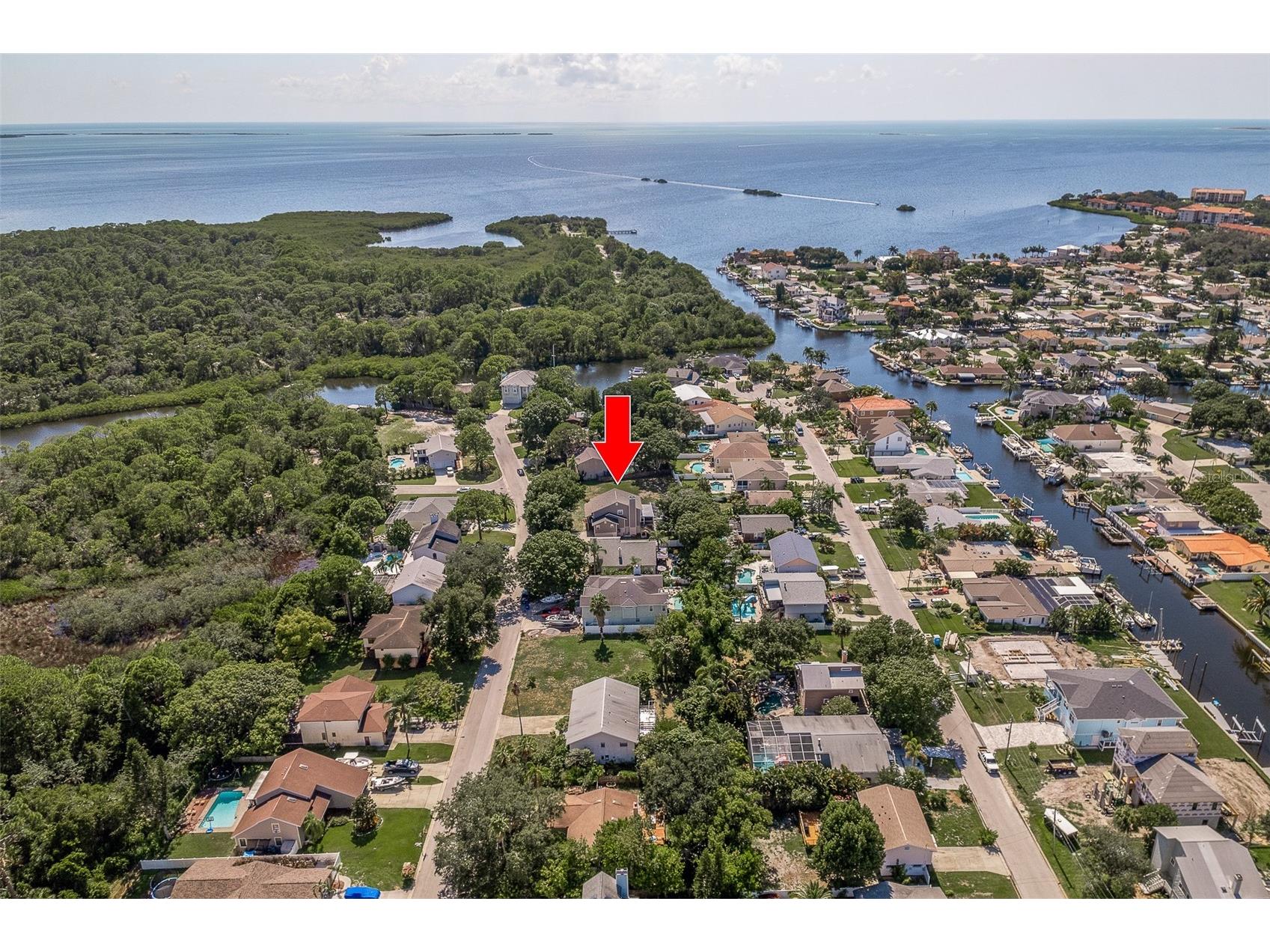14 Baywood Drive Palm Harbor FL 34683 TB8489311 image18