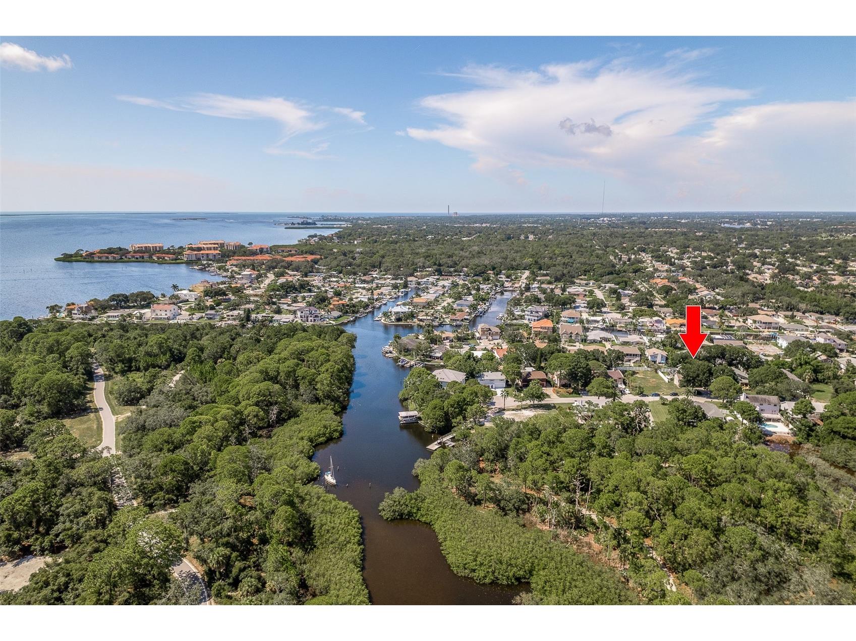14 Baywood Drive Palm Harbor FL 34683 TB8489311 image2