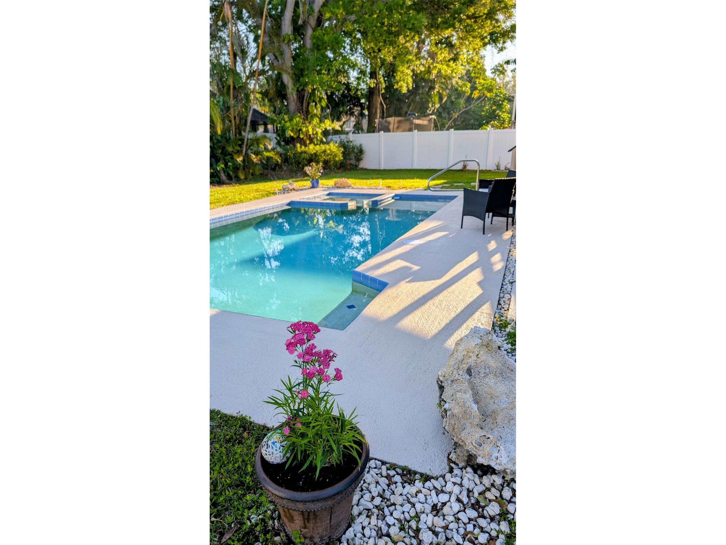14 Baywood Drive Palm Harbor FL 34683 TB8489311 image39