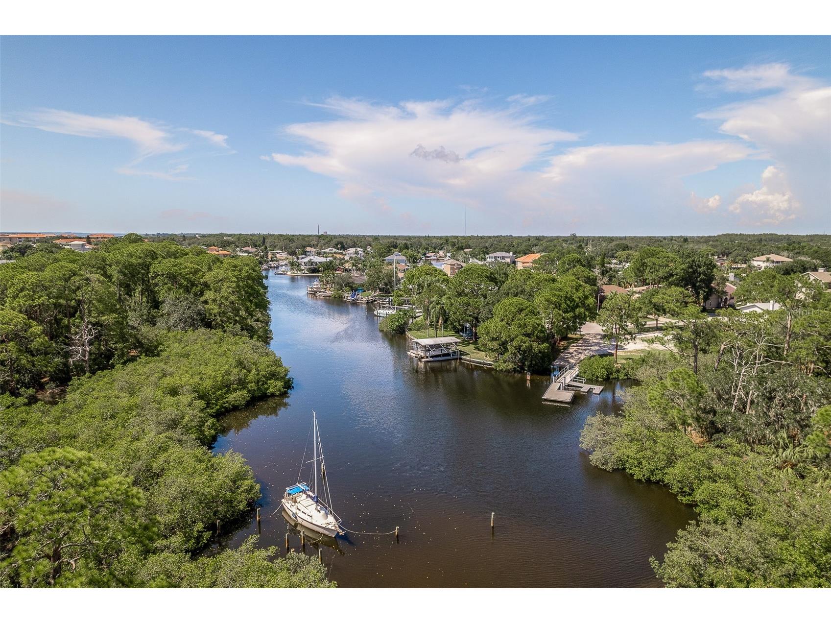 14 Baywood Drive Palm Harbor FL 34683 TB8489311 image44