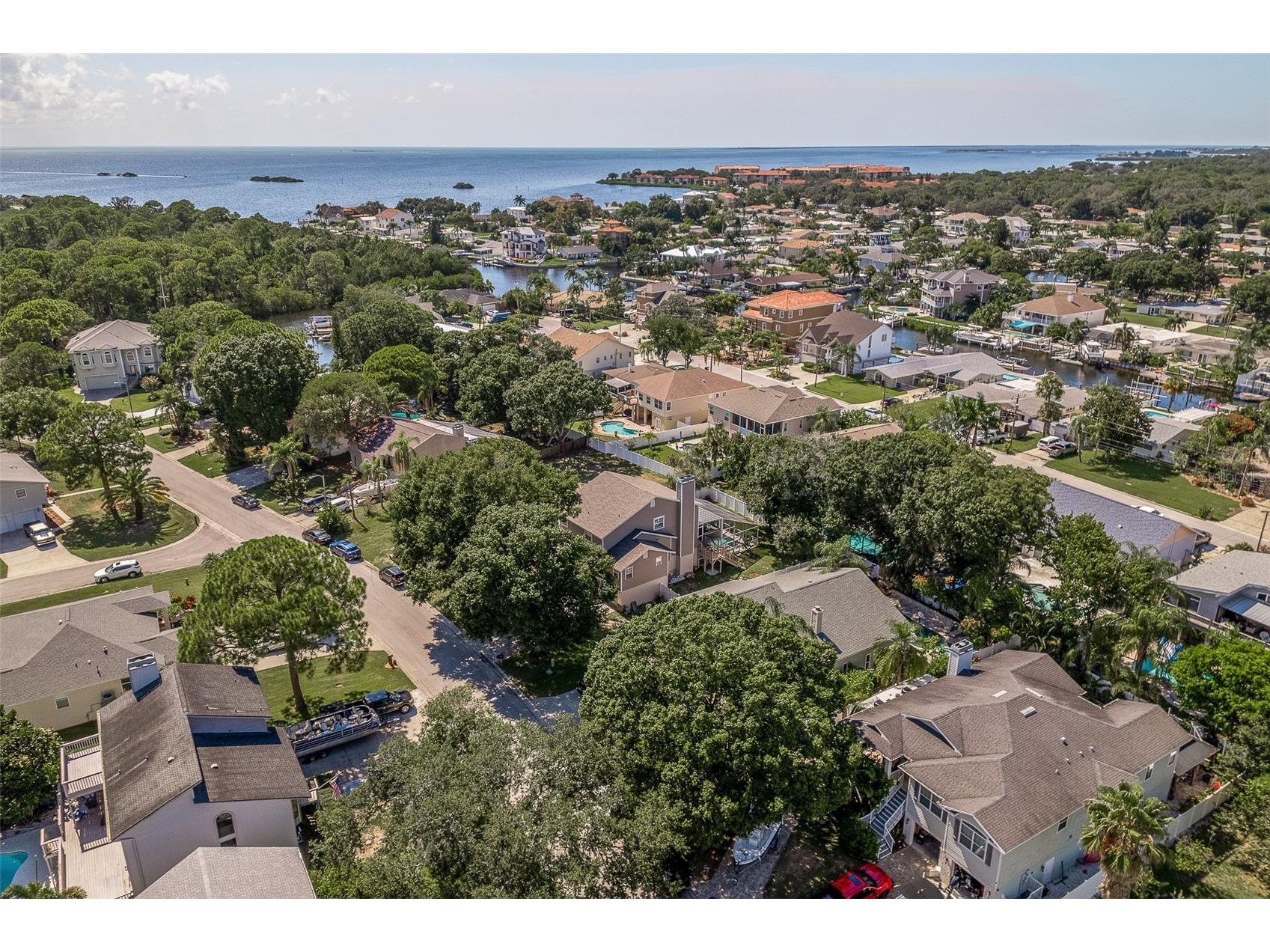 14 Baywood Drive Palm Harbor FL 34683 TB8489311 image54
