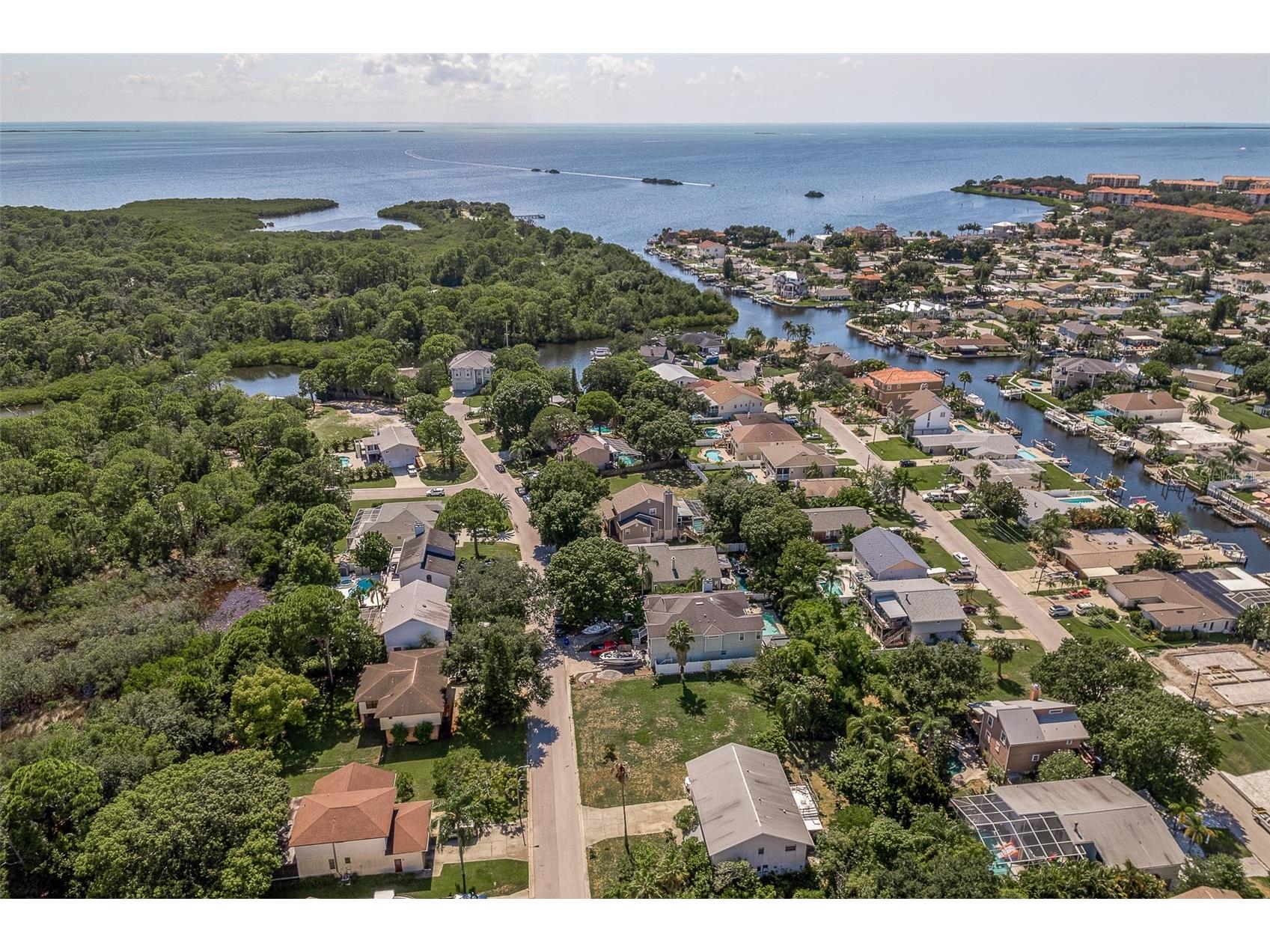14 Baywood Drive Palm Harbor FL 34683 TB8489311 image55