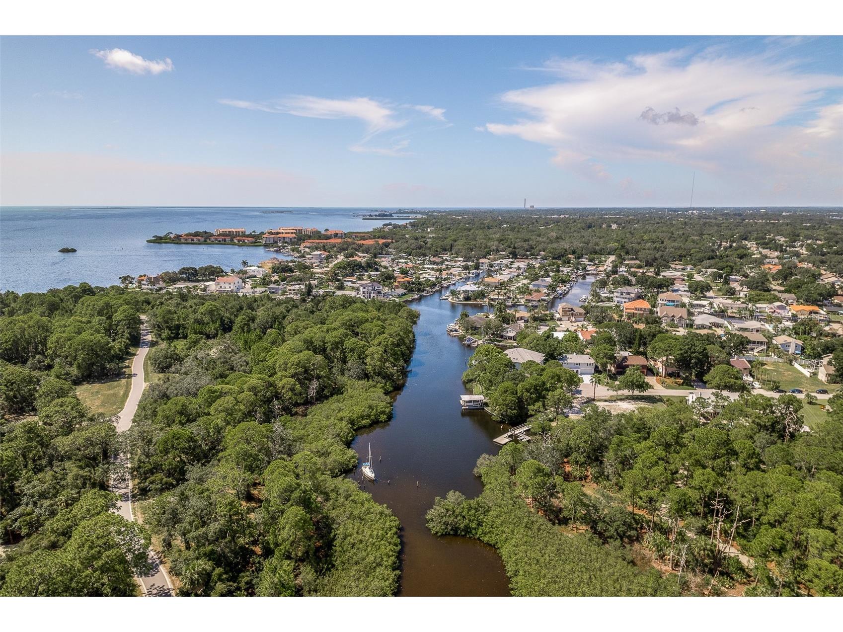 14 Baywood Drive Palm Harbor FL 34683 TB8489311 image57