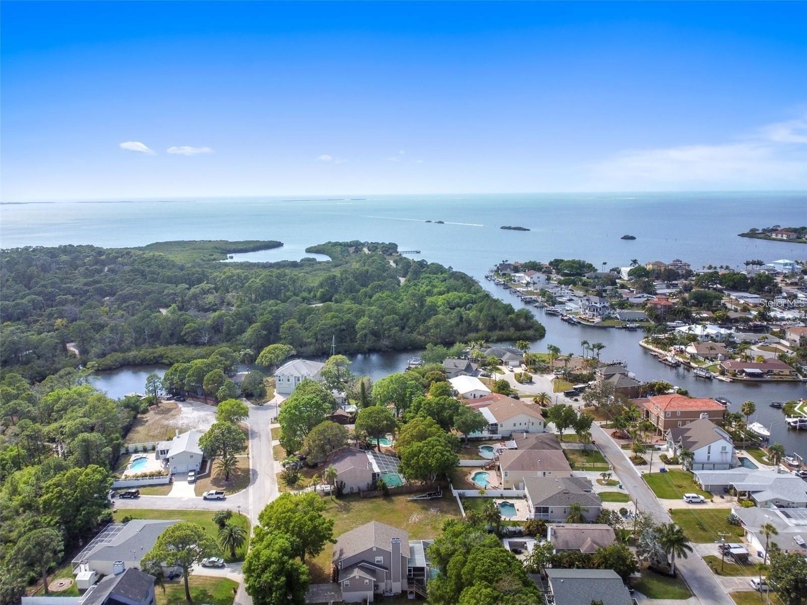 14 Baywood Drive Palm Harbor FL 34683 TB8489311 image58
