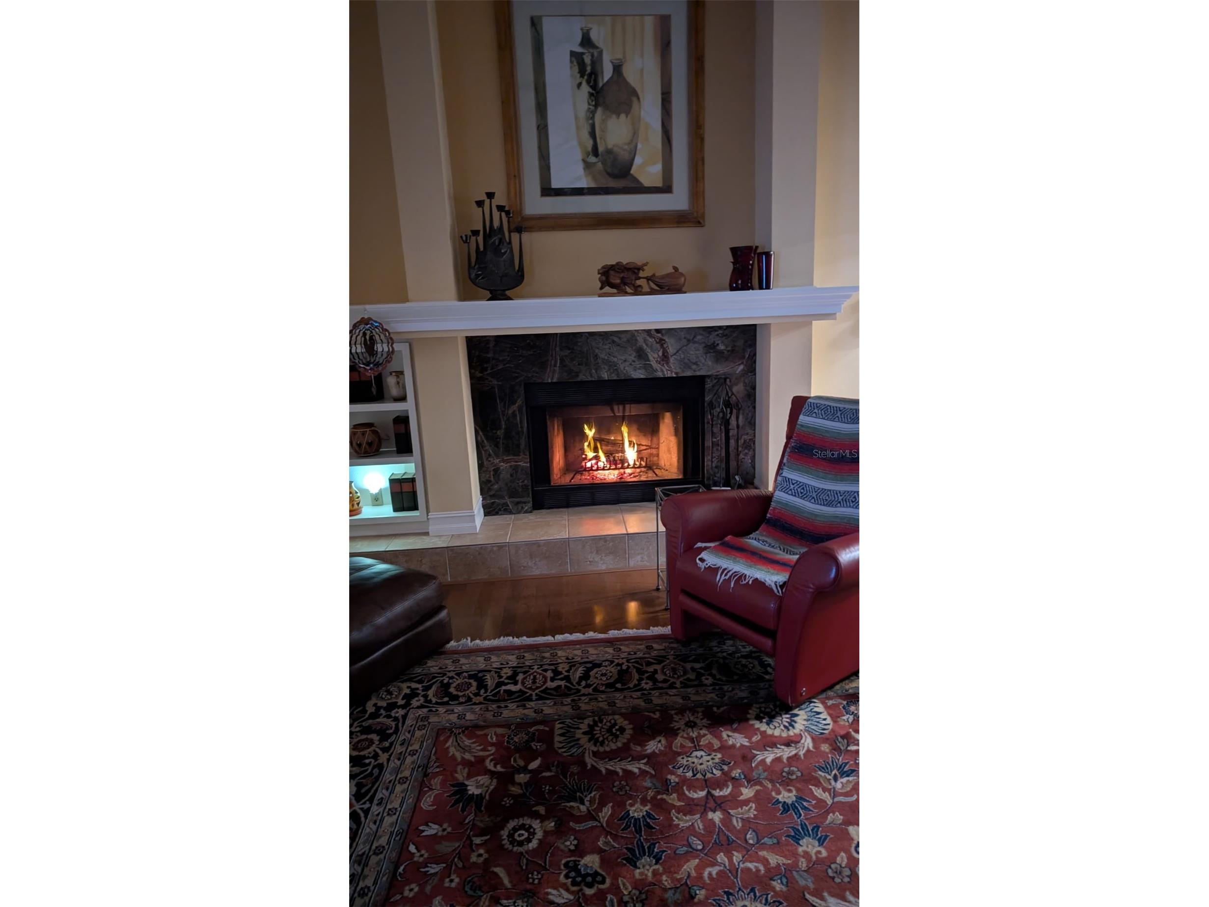 14 Baywood Drive Palm Harbor FL 34683 TB8489311 image59