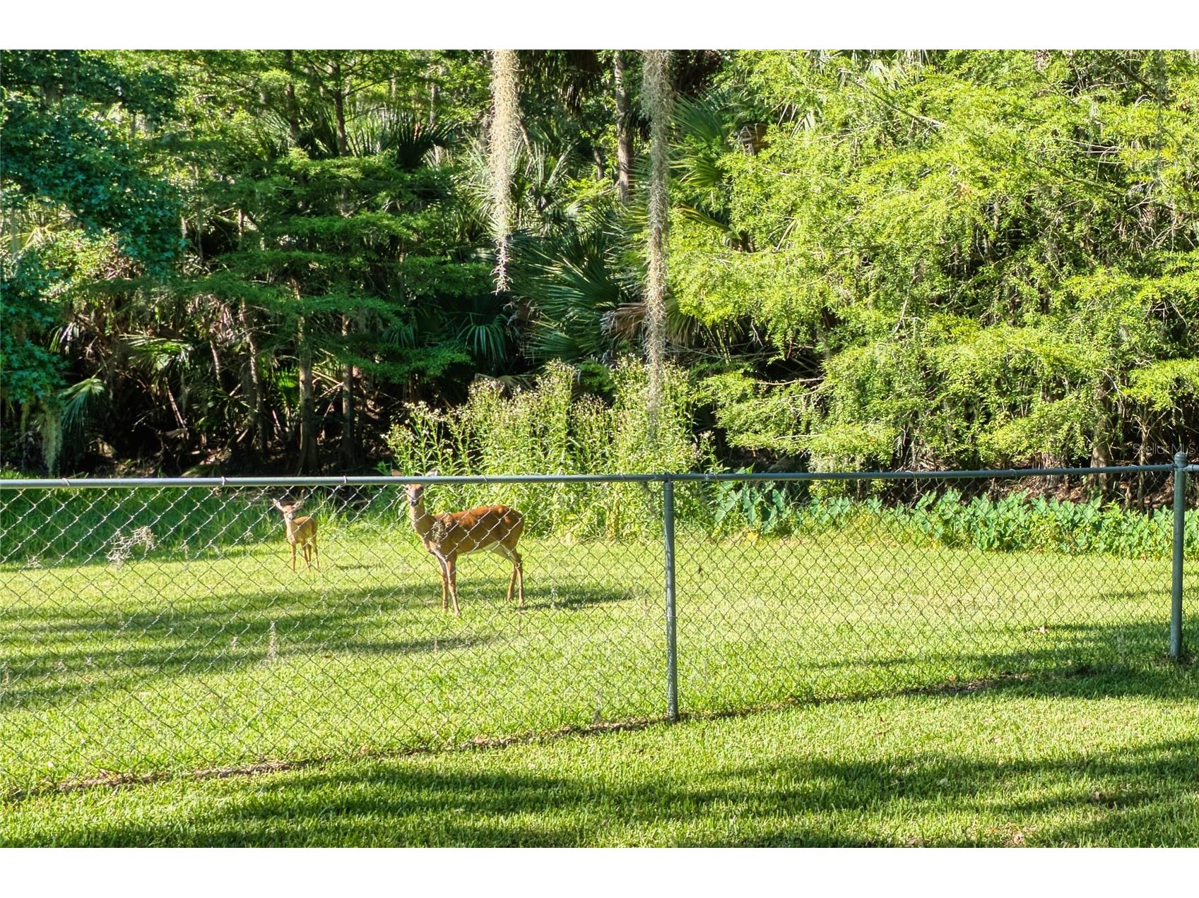 14 Black Oak Court Palm Coast FL 32137 FC316640 image25