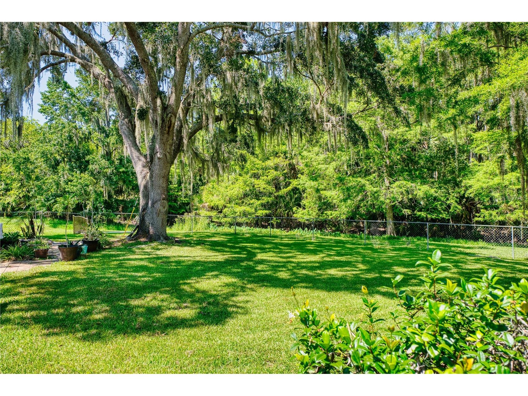 14 Black Oak Court Palm Coast FL 32137 FC316640 image26