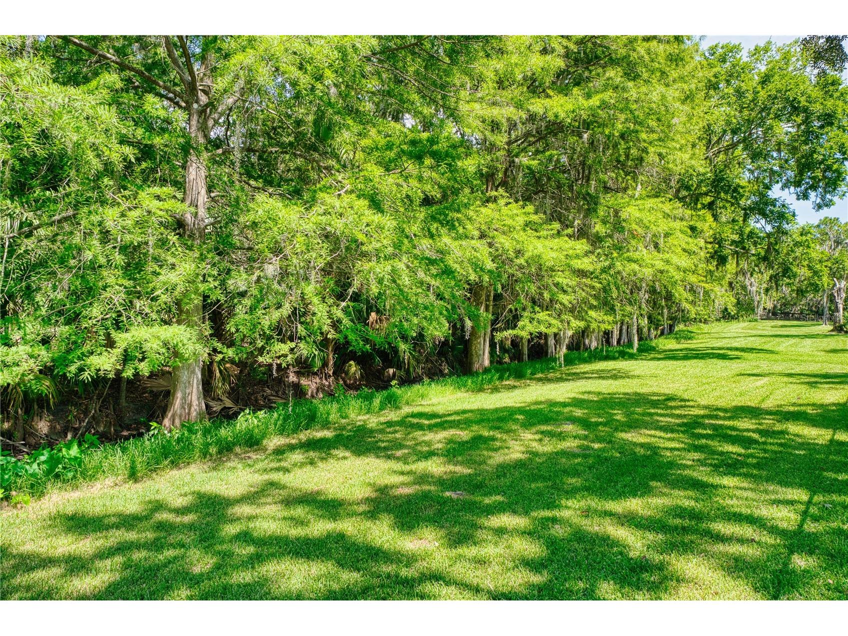 14 Black Oak Court Palm Coast FL 32137 FC316640 image28