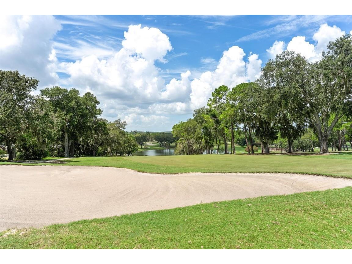 14 Camino Real Boulevard #14 Howey In The Hills FL 34737 - LAKE HARRIS G5100547 image52