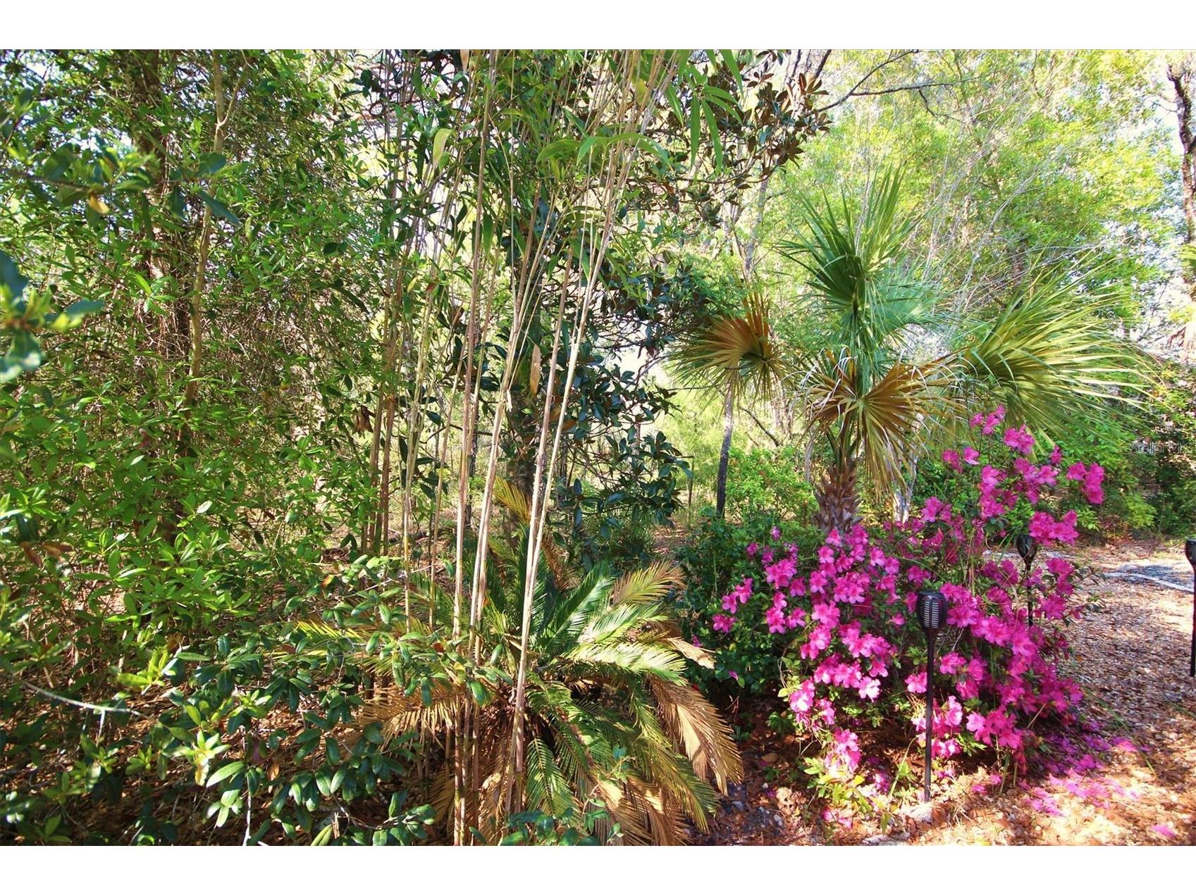 14 Carnation Court Homosassa FL 34446 TB8473655 image28