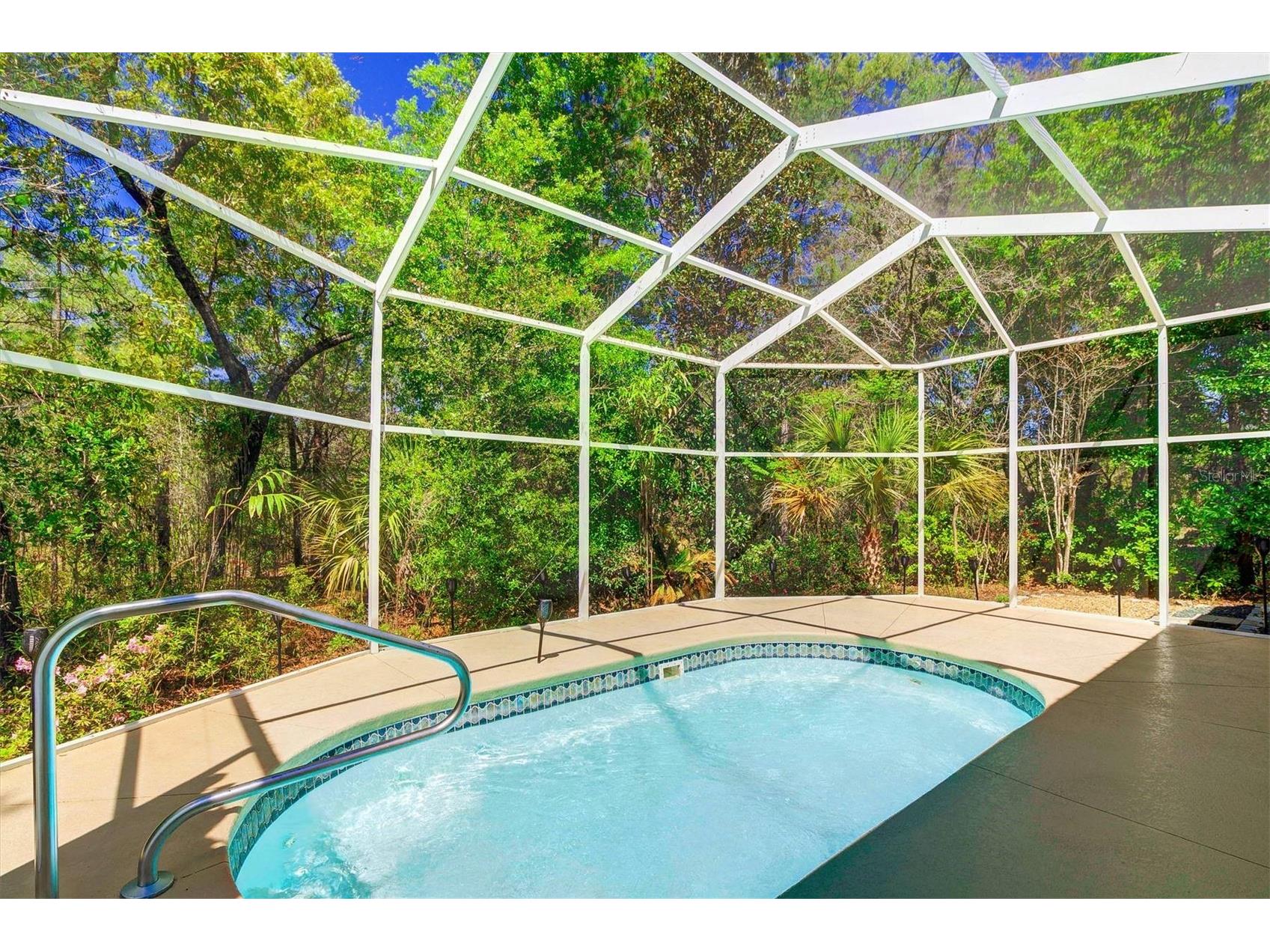 14 Carnation Court Homosassa FL 34446 TB8473655 image3