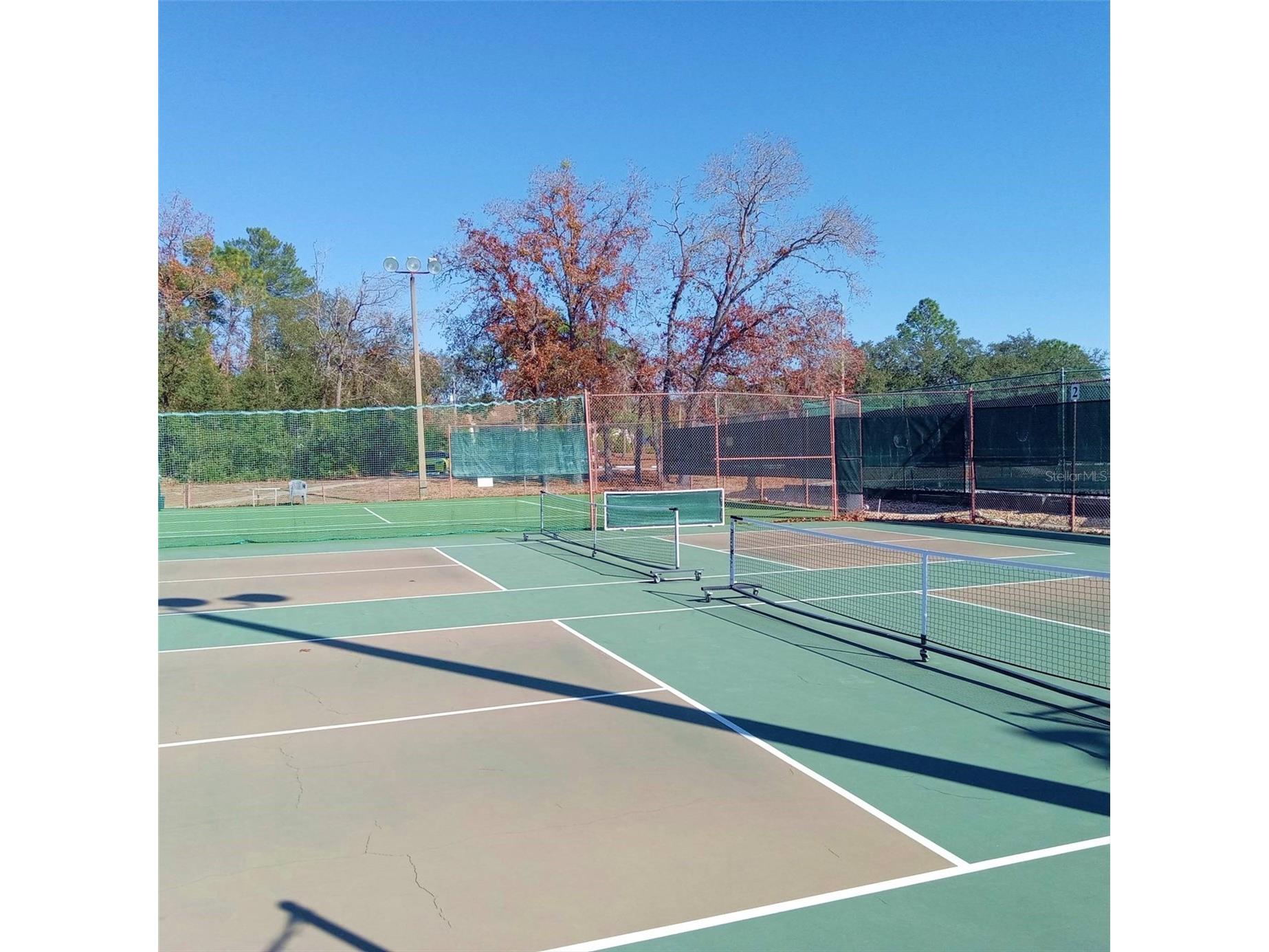 14 Carnation Court Homosassa FL 34446 TB8473655 image53