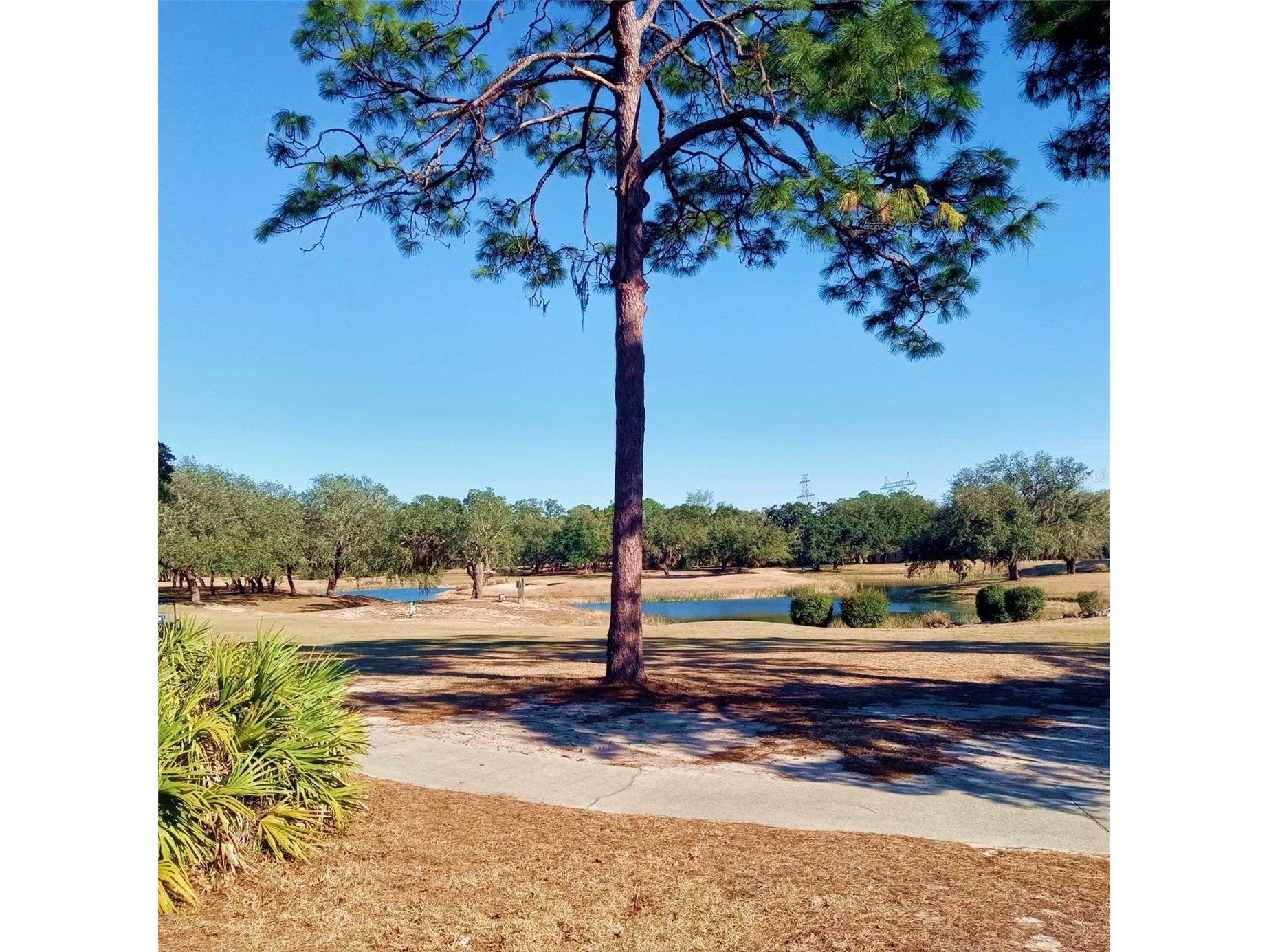 14 Carnation Court Homosassa FL 34446 TB8473655 image54
