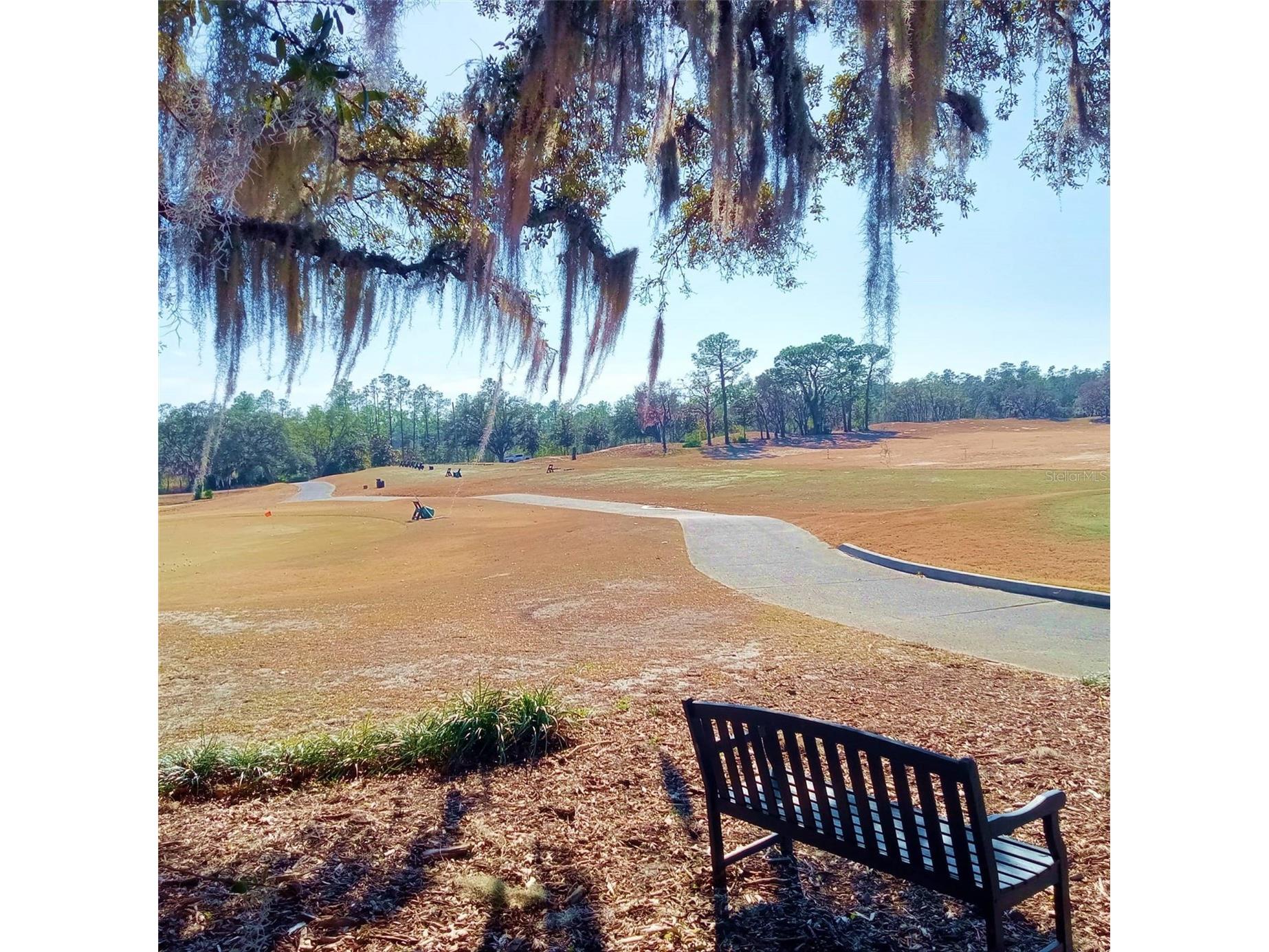 14 Carnation Court Homosassa FL 34446 TB8473655 image55