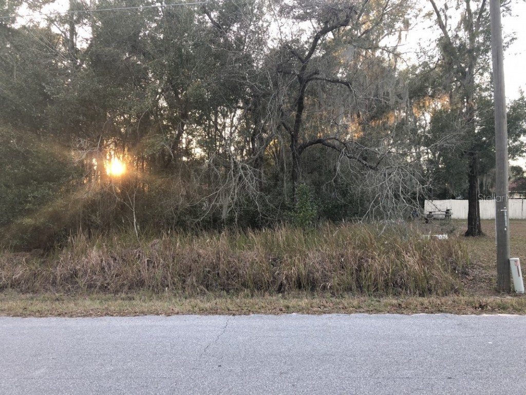 14 Dogwood Trail Ocala FL 34472 A4562374 image1