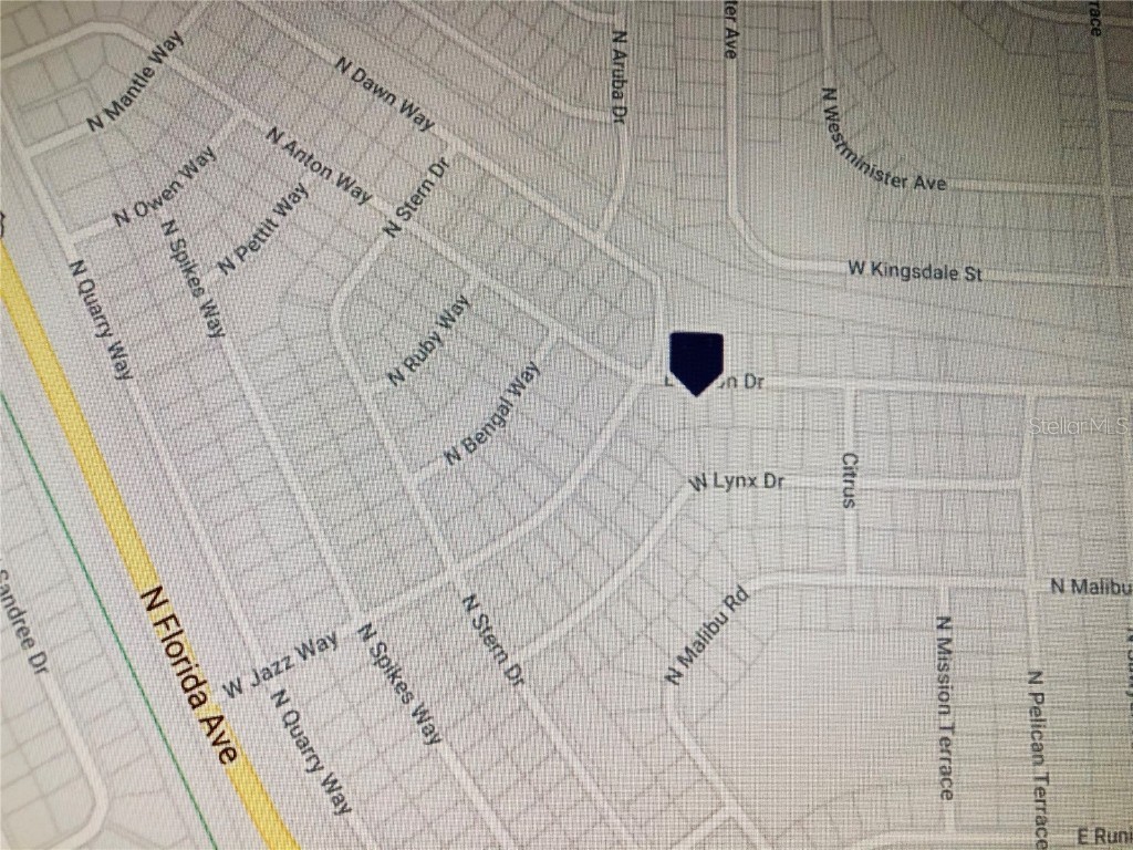 14 E Anton Drive Citrus Springs FL 34434 OM626482 image2