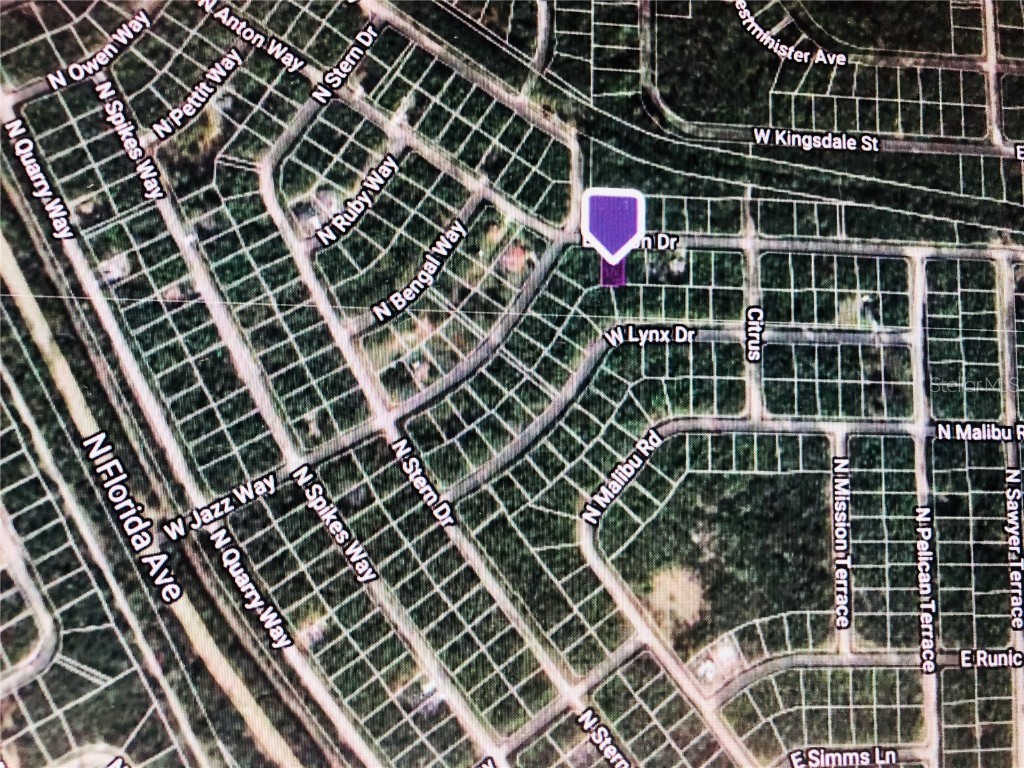 14 E Anton Drive Citrus Springs FL 34434 OM626482 image3