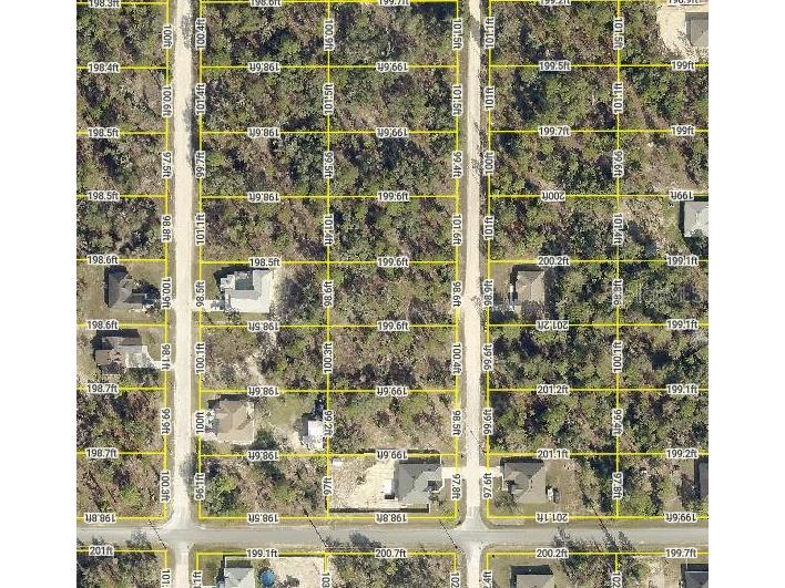 14 English Parrot Brooksville FL 34614 W7872792 image1