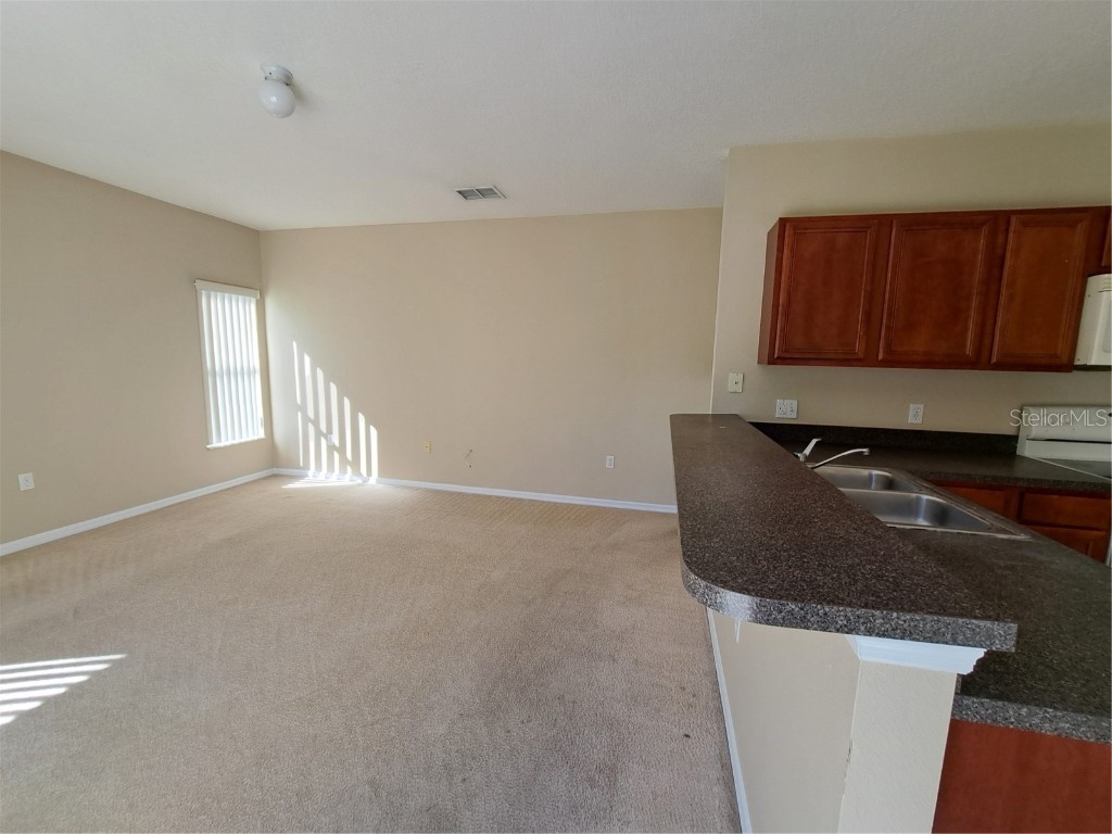 14 Flatfish Drive Kissimmee FL 34759 G5104184 image12