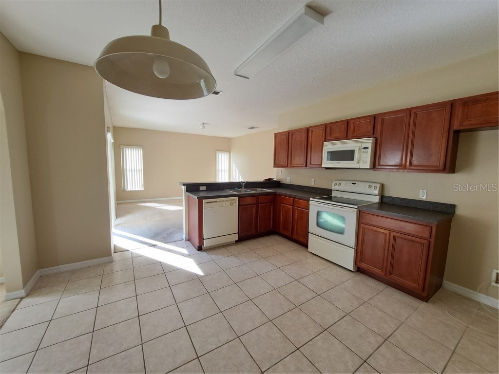 14 Flatfish Drive Kissimmee FL 34759 G5104184 image7
