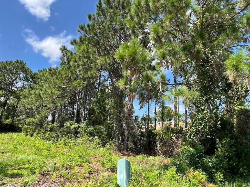 14 Flint Hill Lane Palm Coast FL 32137 FC294840 image1