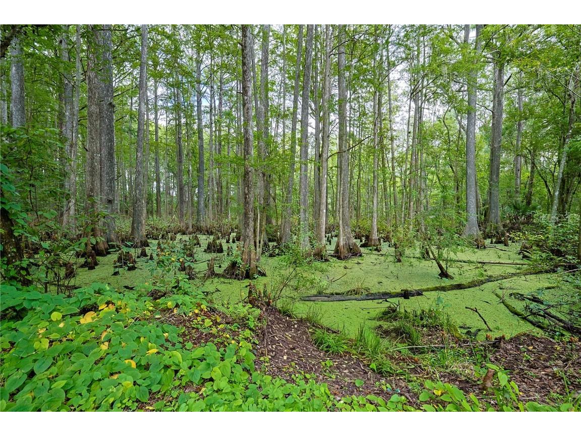 14 Golfview Trail Wildwood FL 34785 G5103309 image63