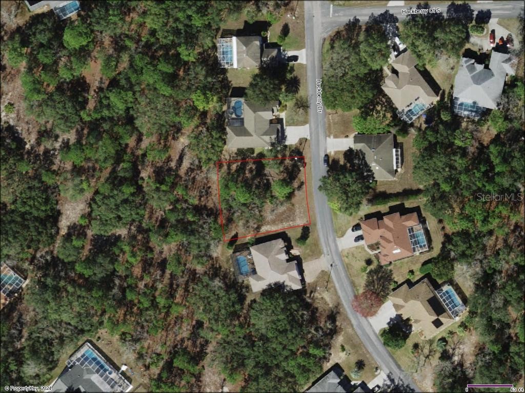 14 Hackberry Drive Homosassa FL 34446 W7866097 image1