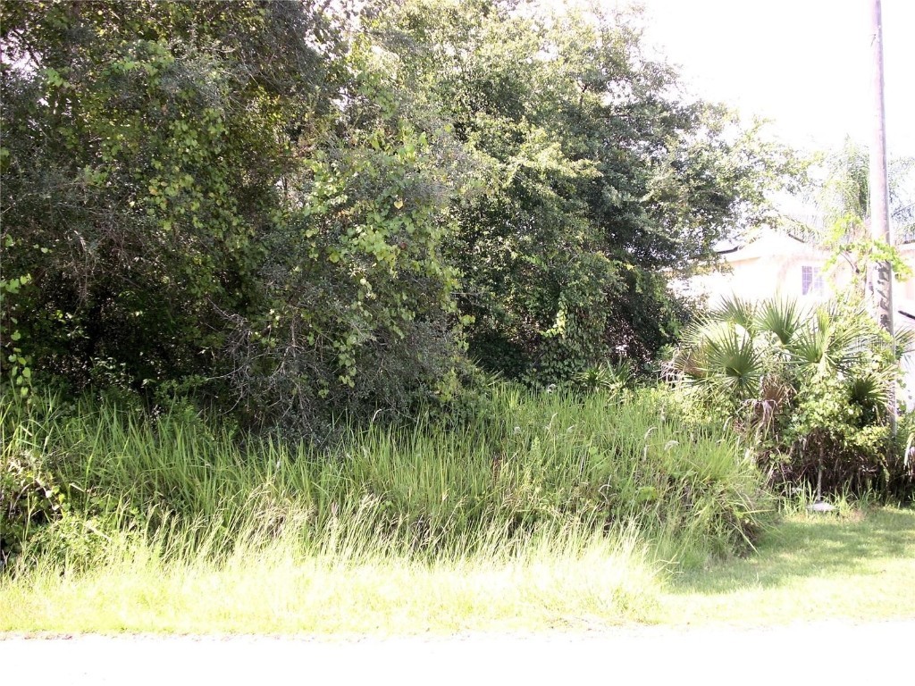 14 Haddock Way Poinciana FL 34759 S5080966 image1