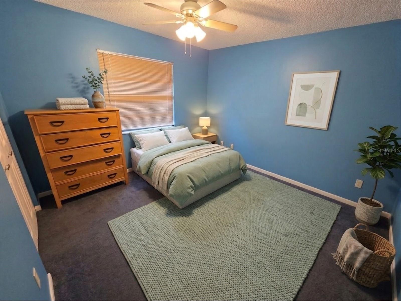 14 Harbor Point Place Safety Harbor FL 34695 TB8491223 image10