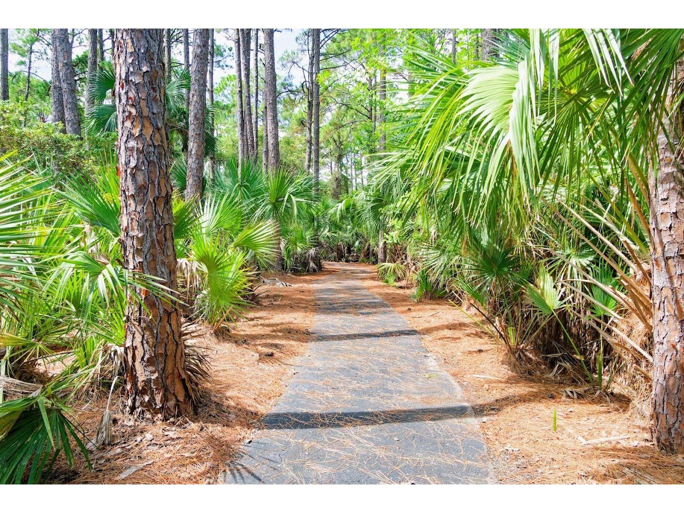 14 Heron Drive Palm Coast FL 32137 O6347861 image55