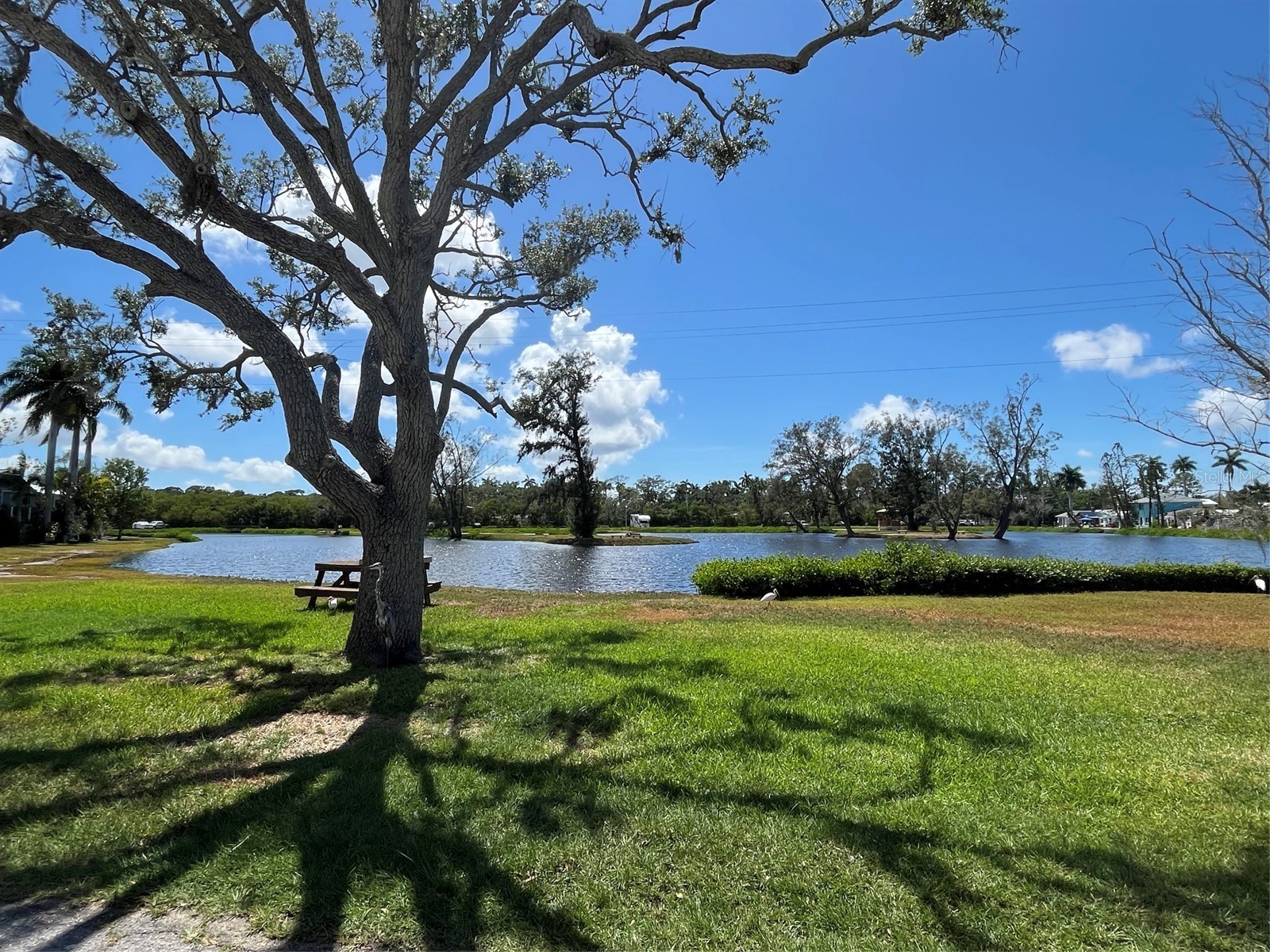 14 Lafayette Street Bradenton FL 34208 A4695454 image48