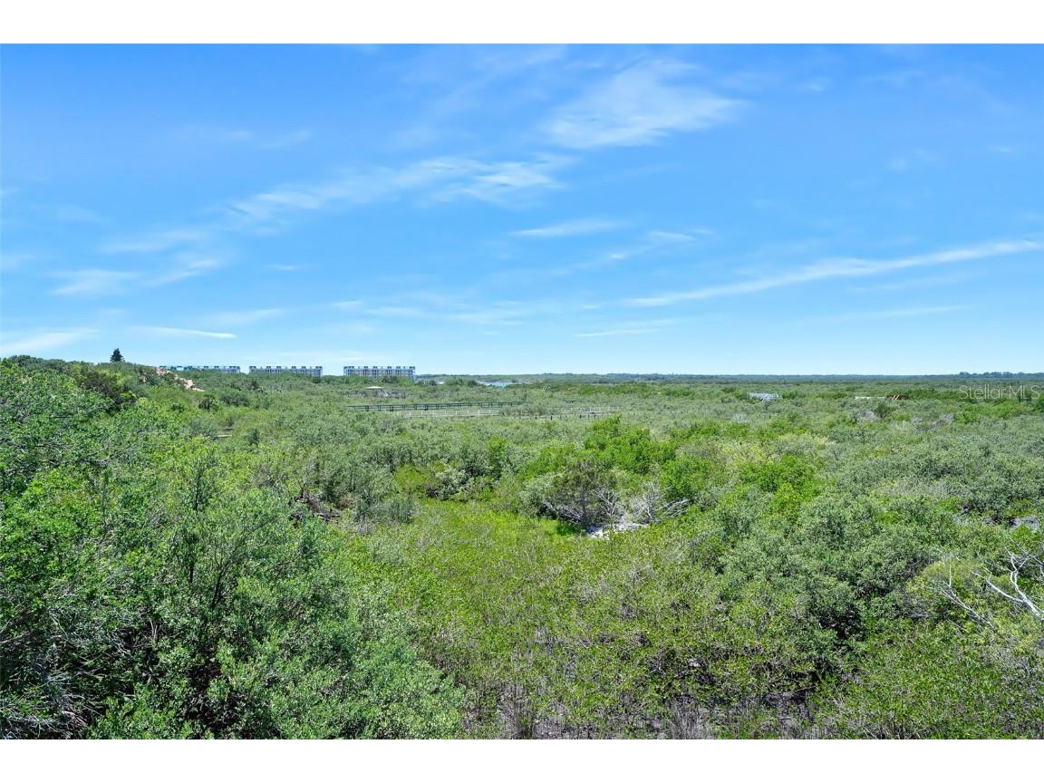 14 Marsh Court Ponce Inlet FL 32127 V4942500 image48