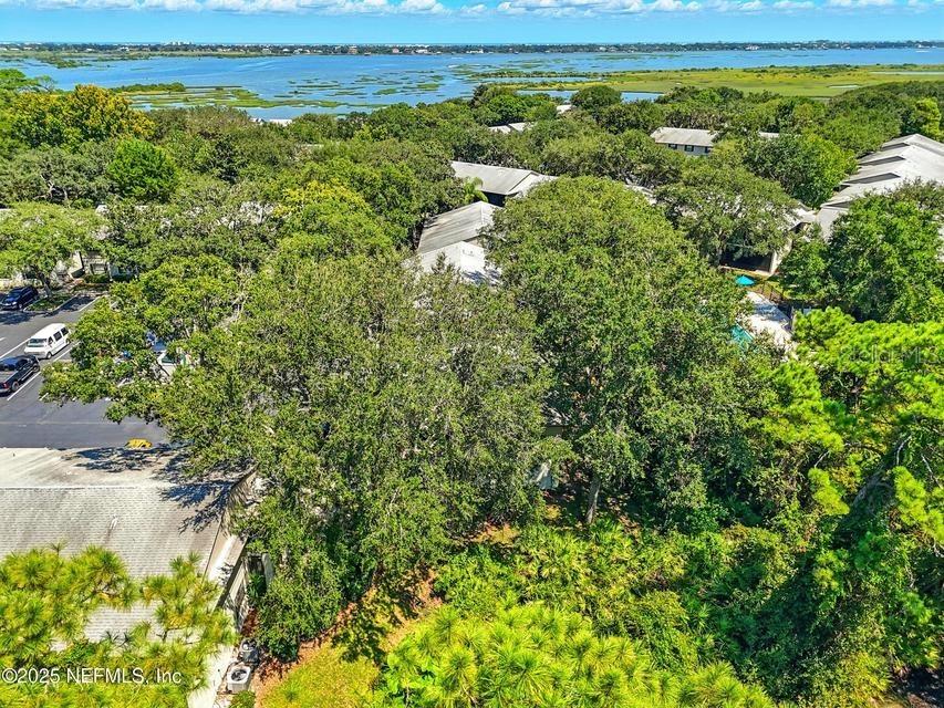 14 Navarra Court #14 Saint Augustine FL 32086 O6405265 image47
