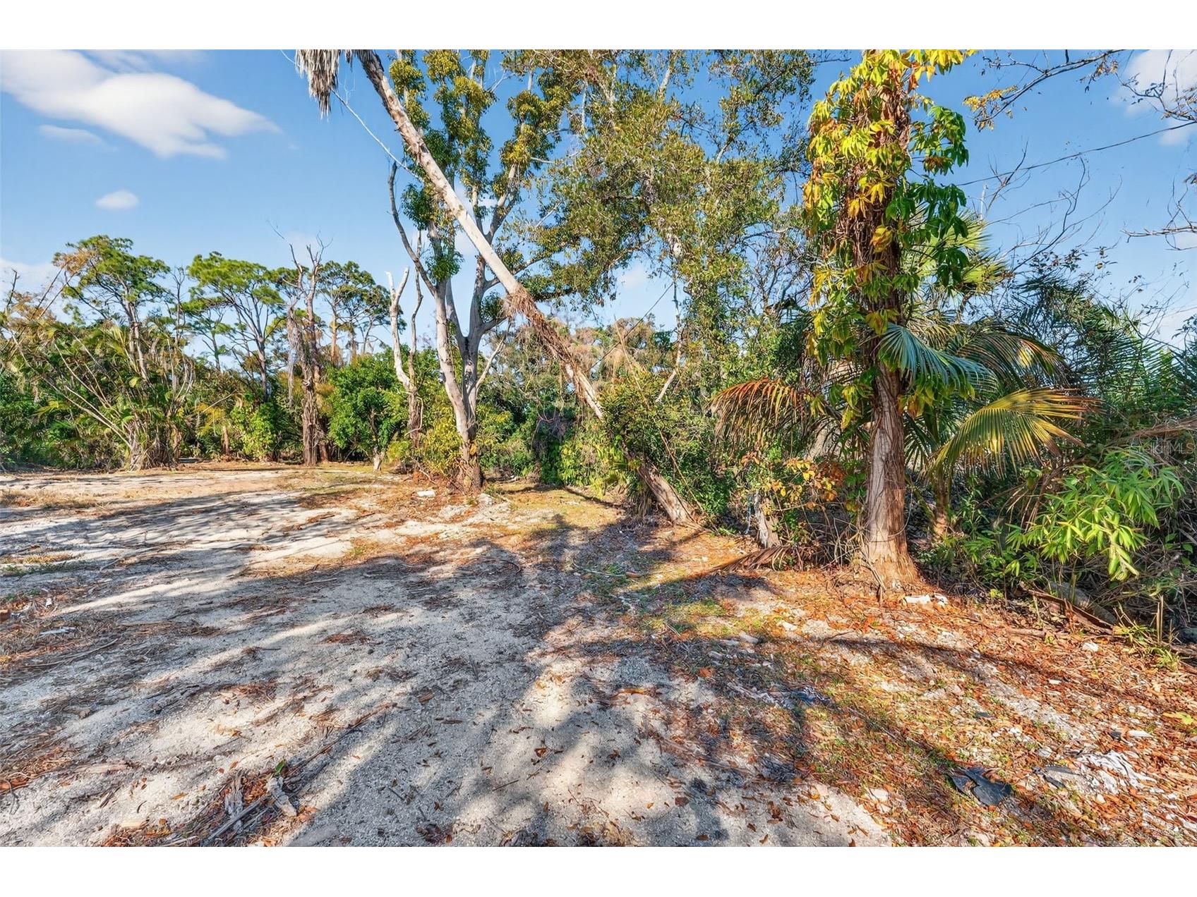 14 Old Venice Road Osprey FL 34229 A4682477 image10