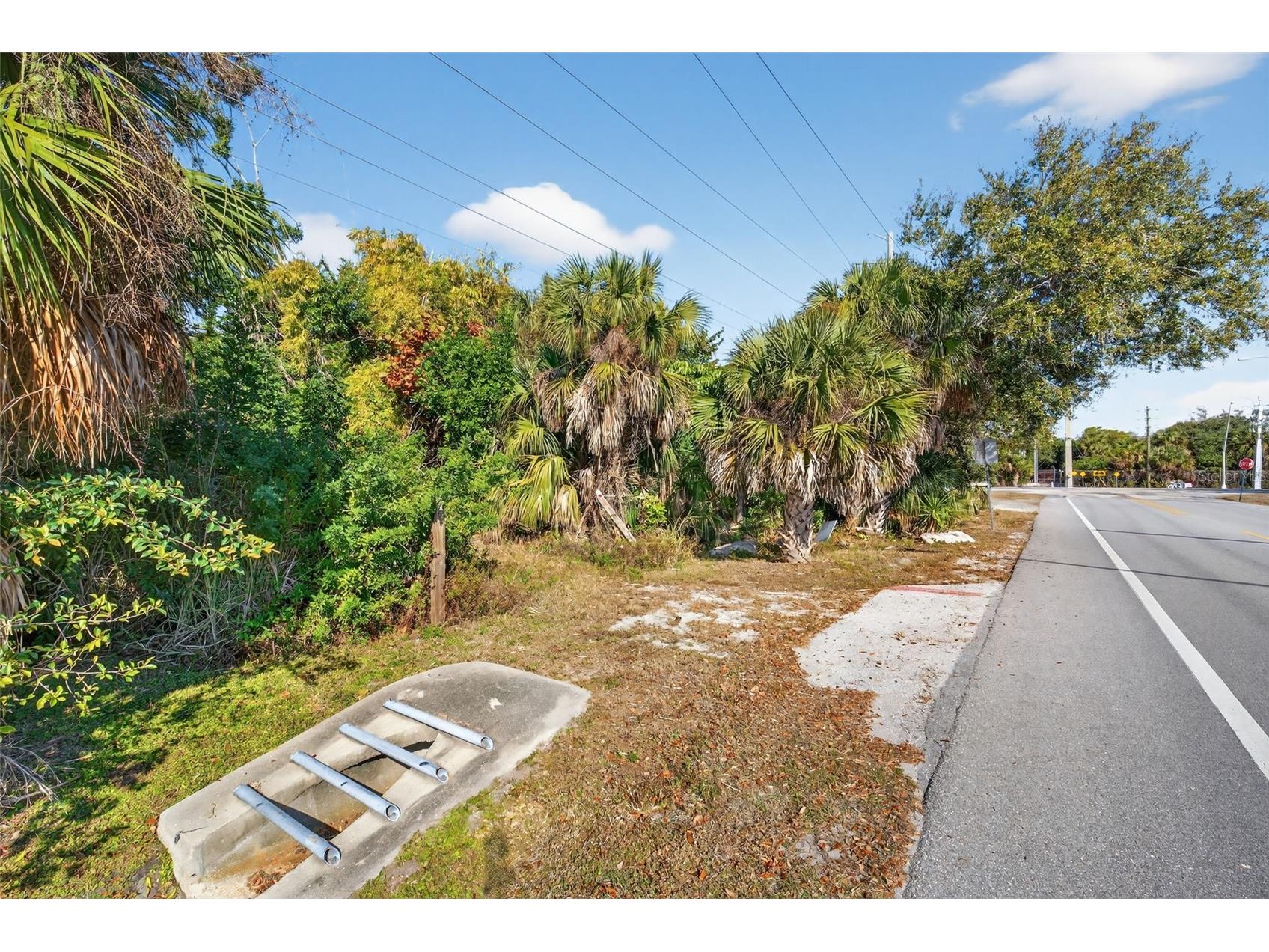 14 Old Venice Road Osprey FL 34229 A4682477 image6