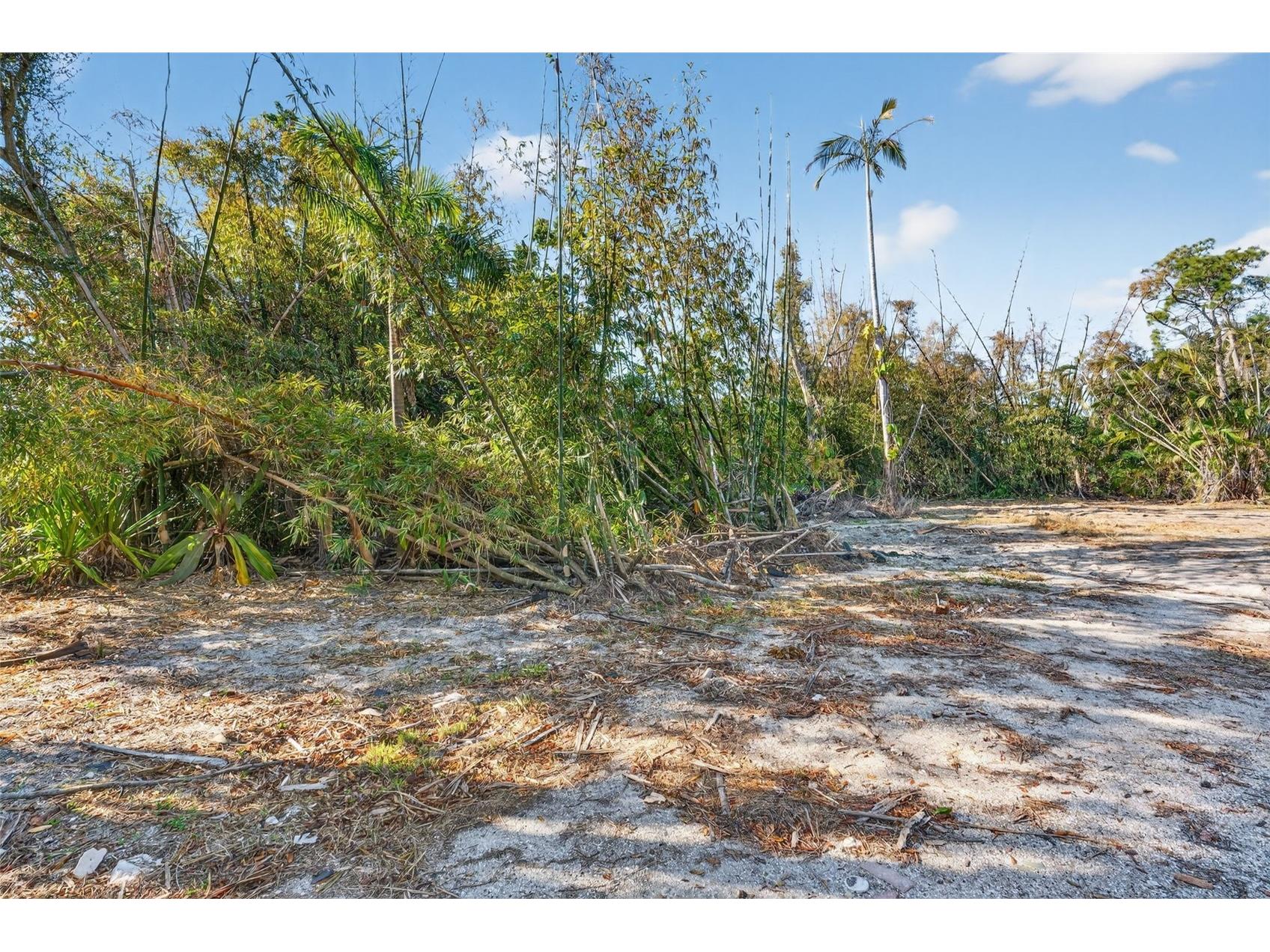 14 Old Venice Road Osprey FL 34229 A4682477 image9