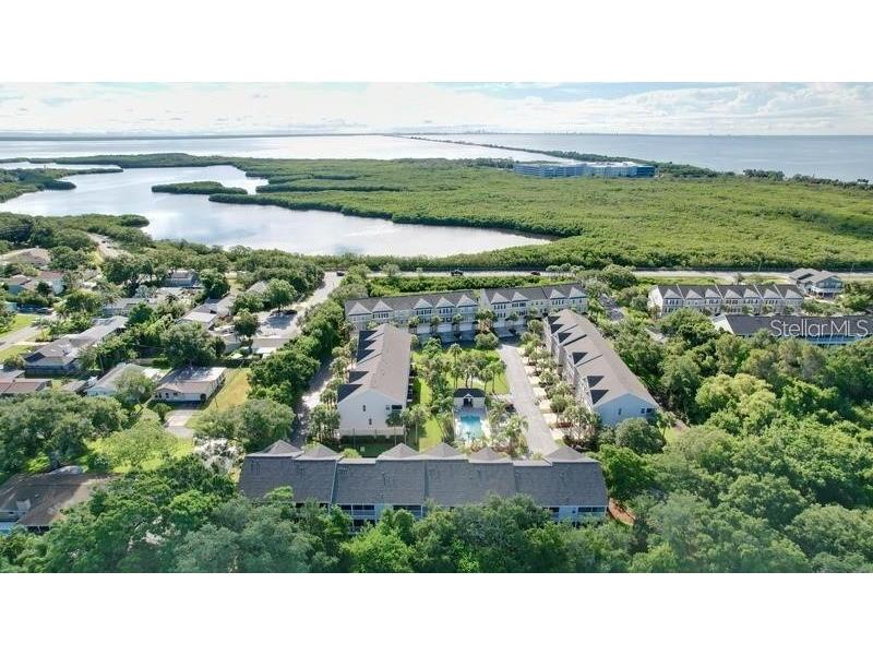 14 Seagrape Circle Clearwater FL 33759 TB8513898 image52