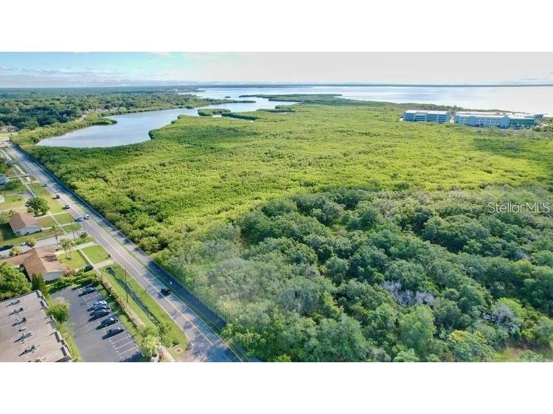 14 Seagrape Circle Clearwater FL 33759 TB8513898 image59